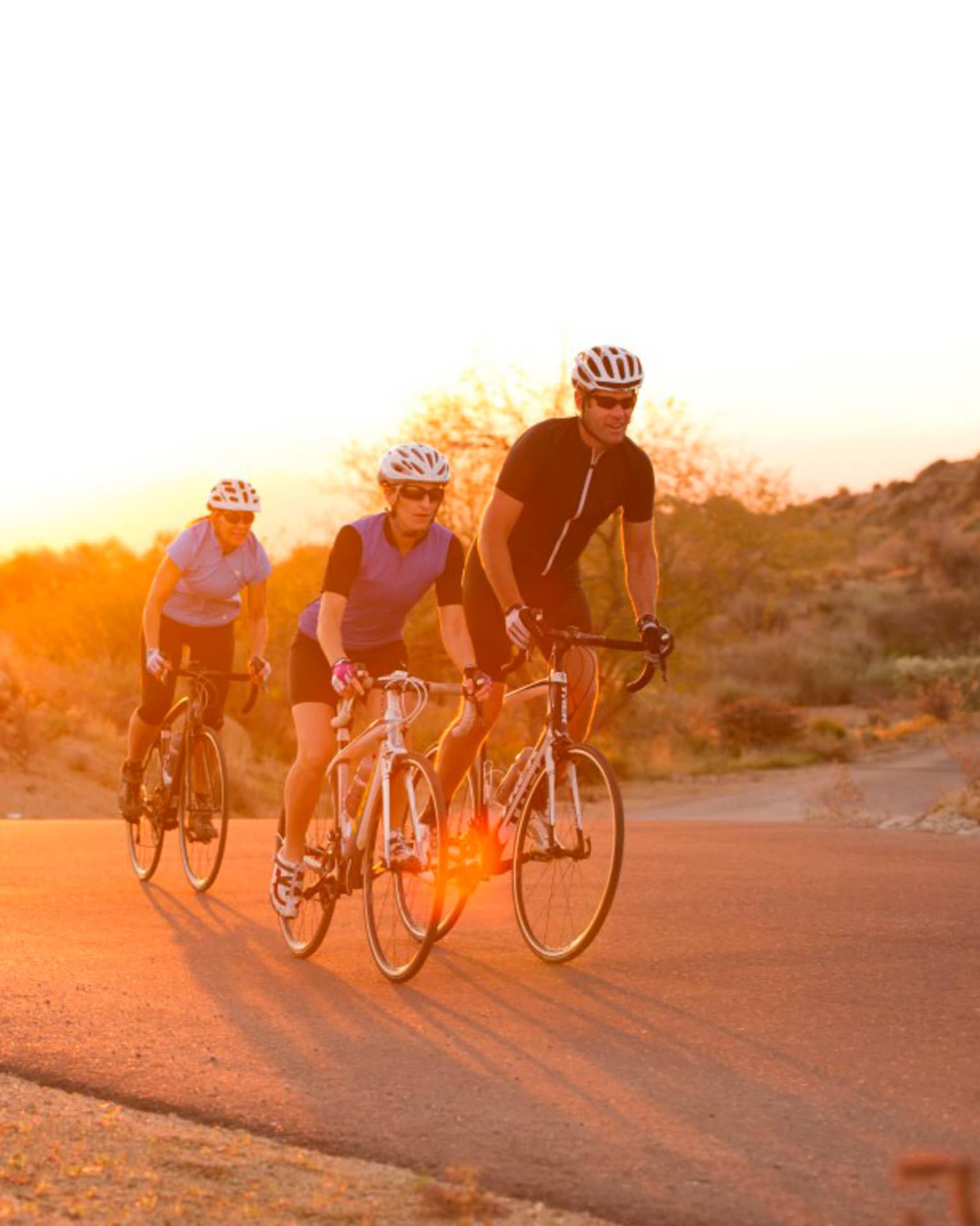 Three cyclists ride on desert path past large cactus at sunset