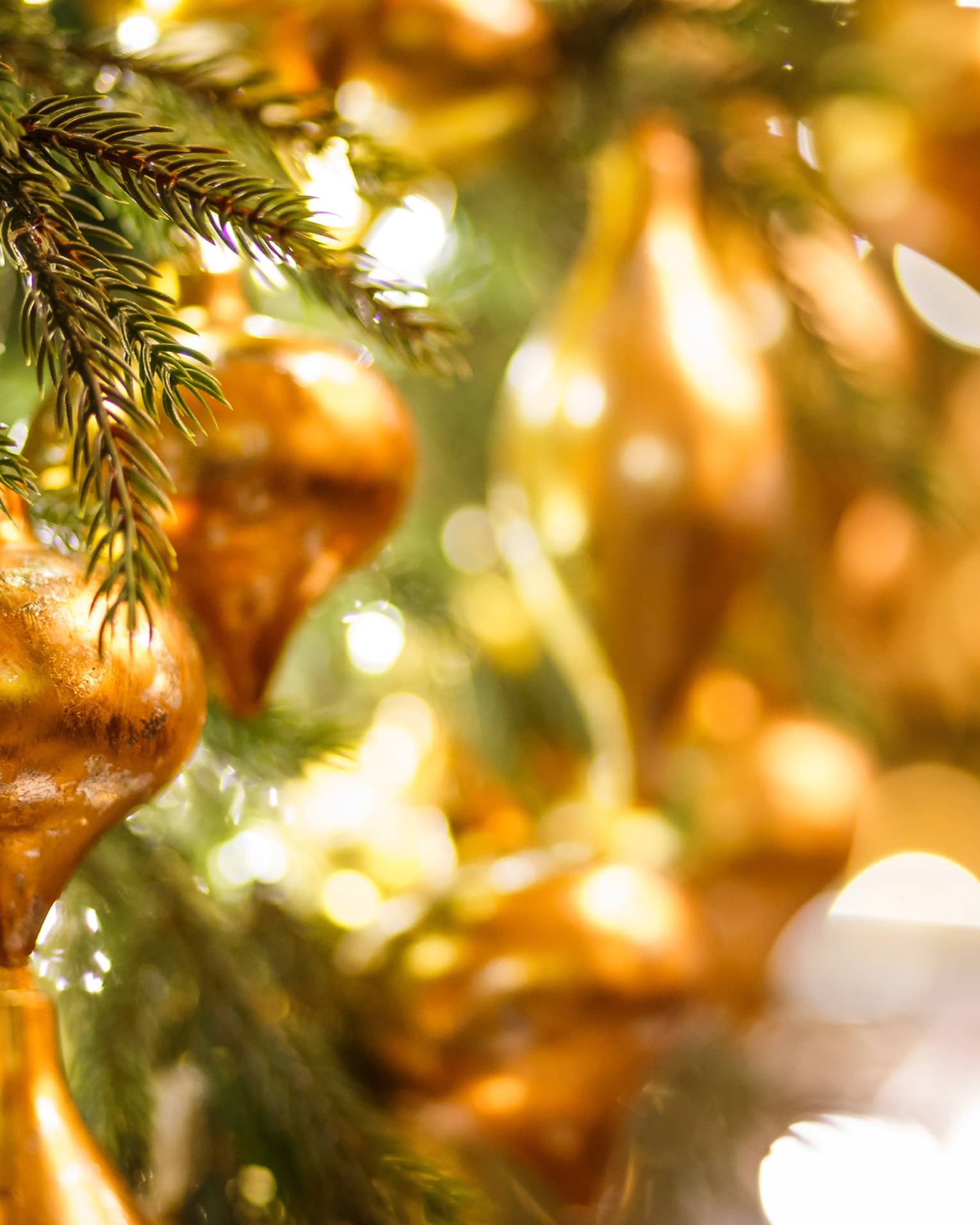 Close up of Christmas tree ornaments and lights.