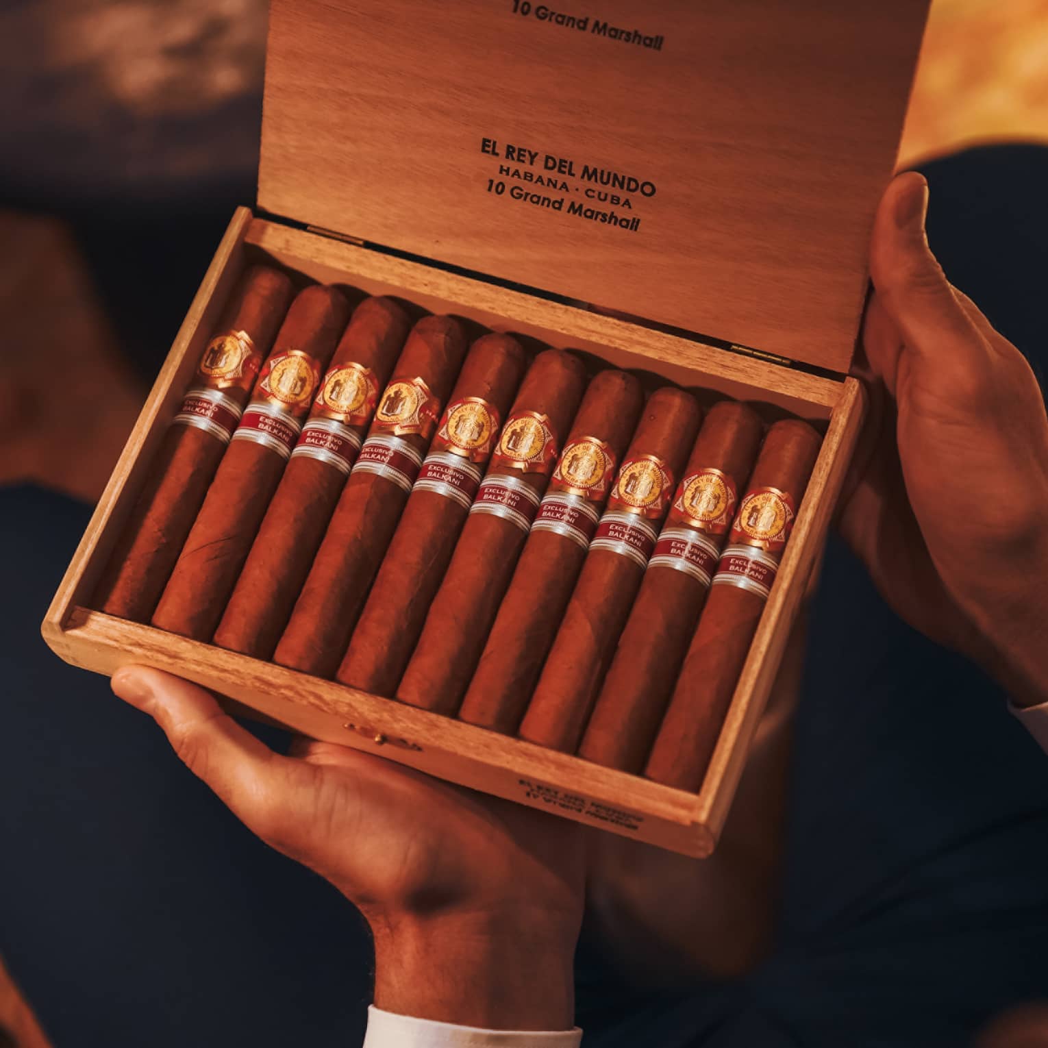 Close up of person's hands holding an open cigar box filled with 10 cigars