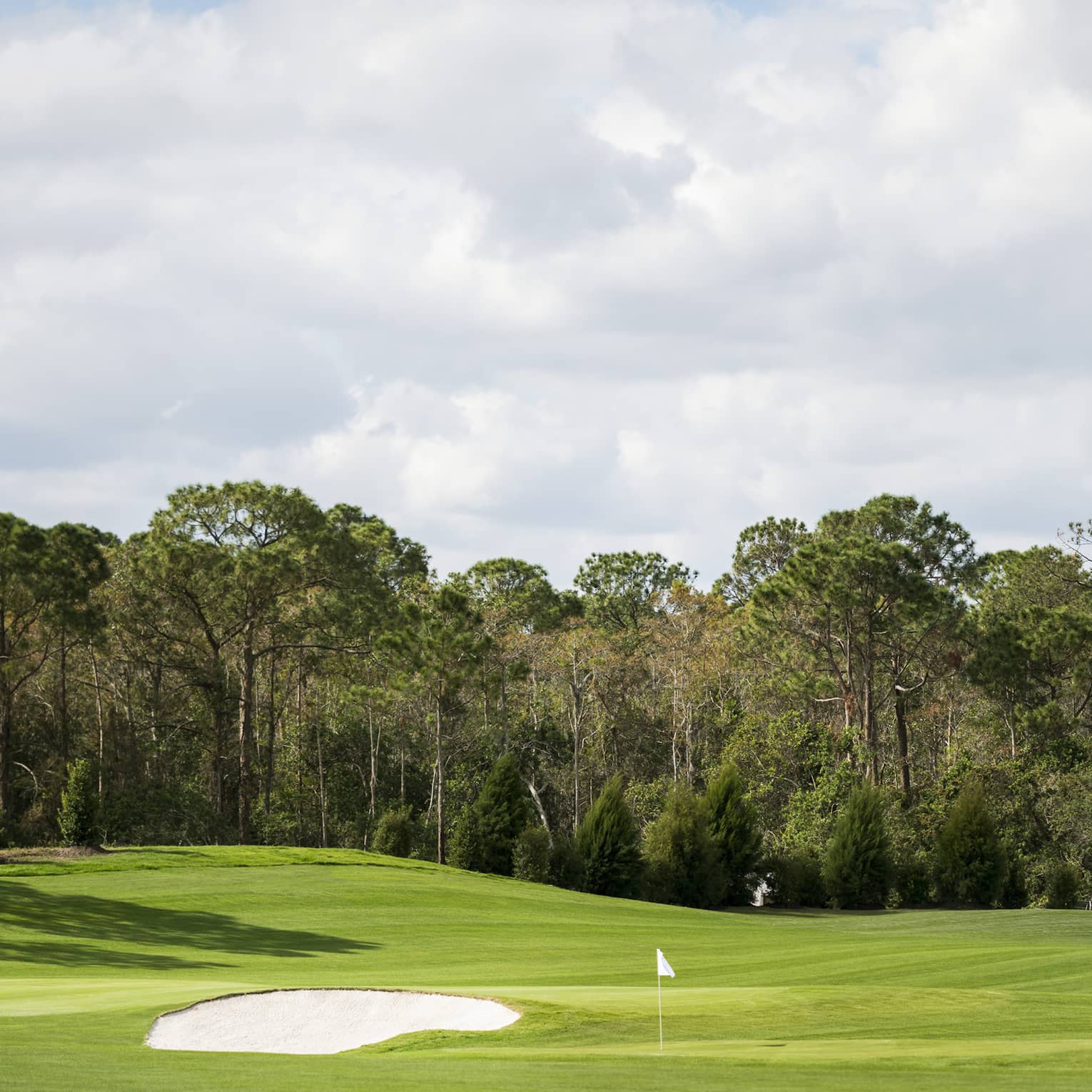 View over large green golf course driving range, trees 