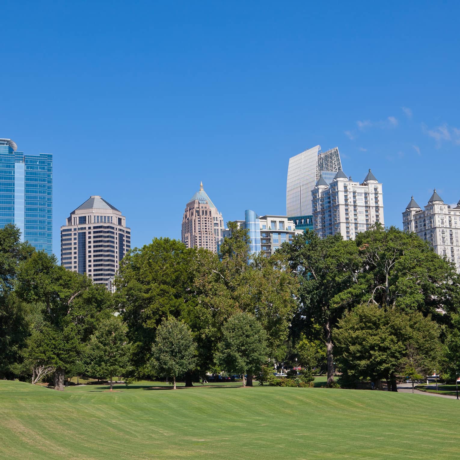 A park with large skyscrapers in the distance.