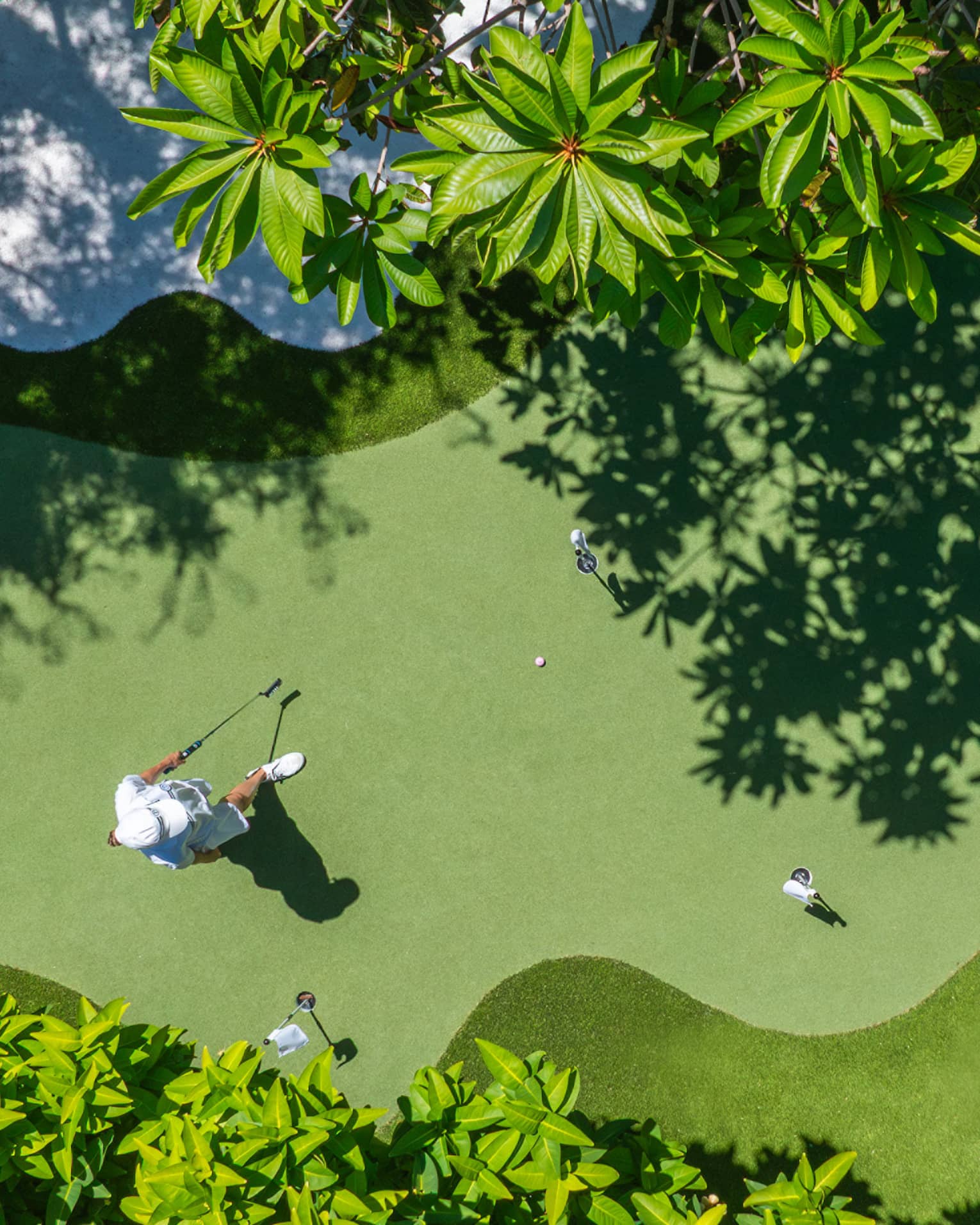 Bird's-eye view of a verdant putting green surrounded by manicured grass and palm trees