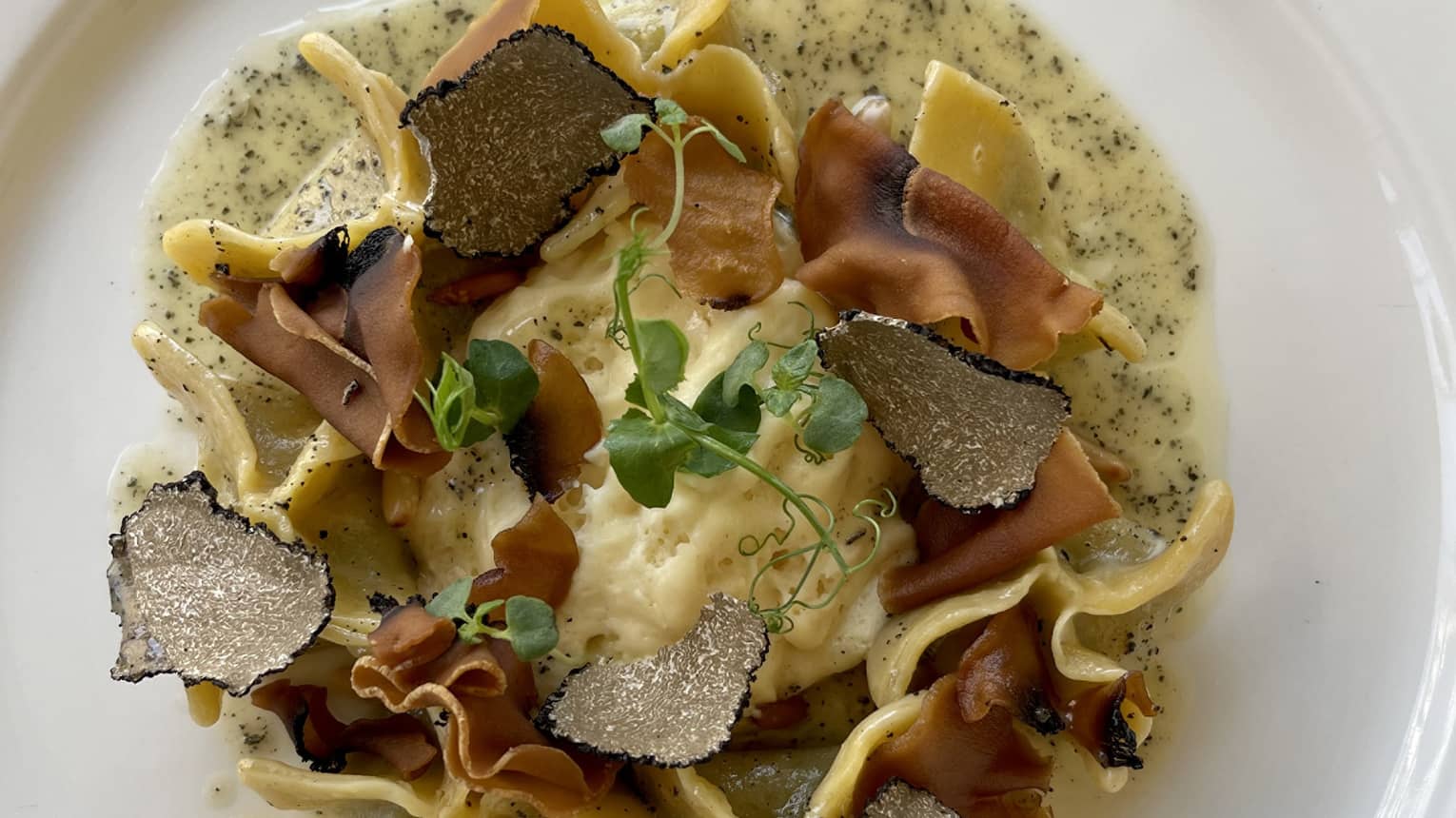 Homemade ravioli with cheesy spinach, pine nuts, fresh black truffles and sage butter on a white plate