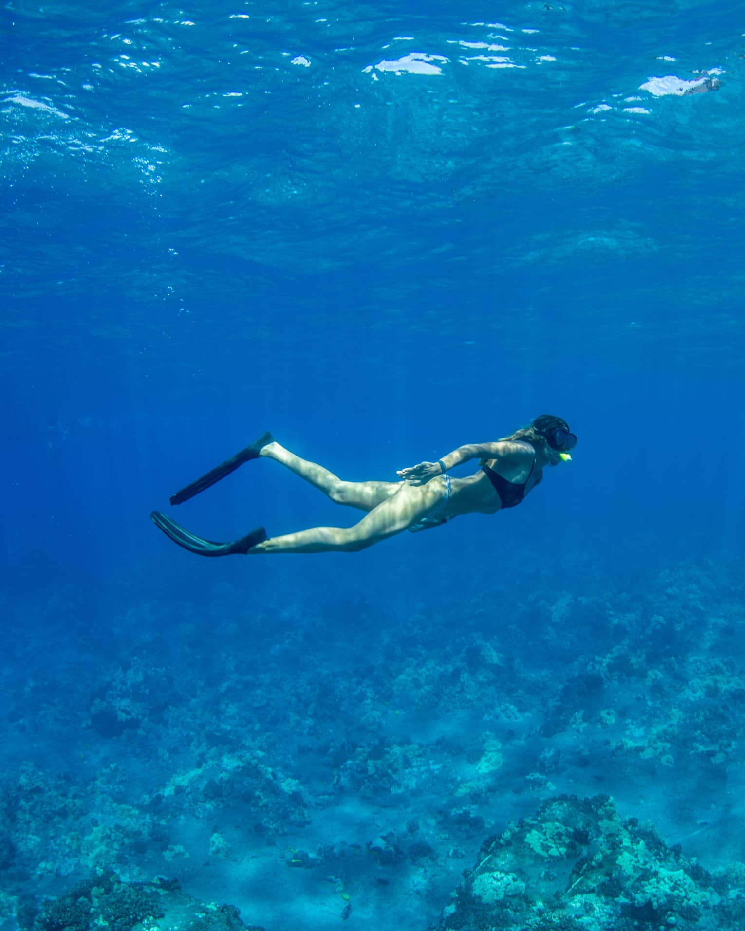 A snorkeller in black flippers and mask explores a rocky coral reef below, as rays of sunlight filter from above the blue water.