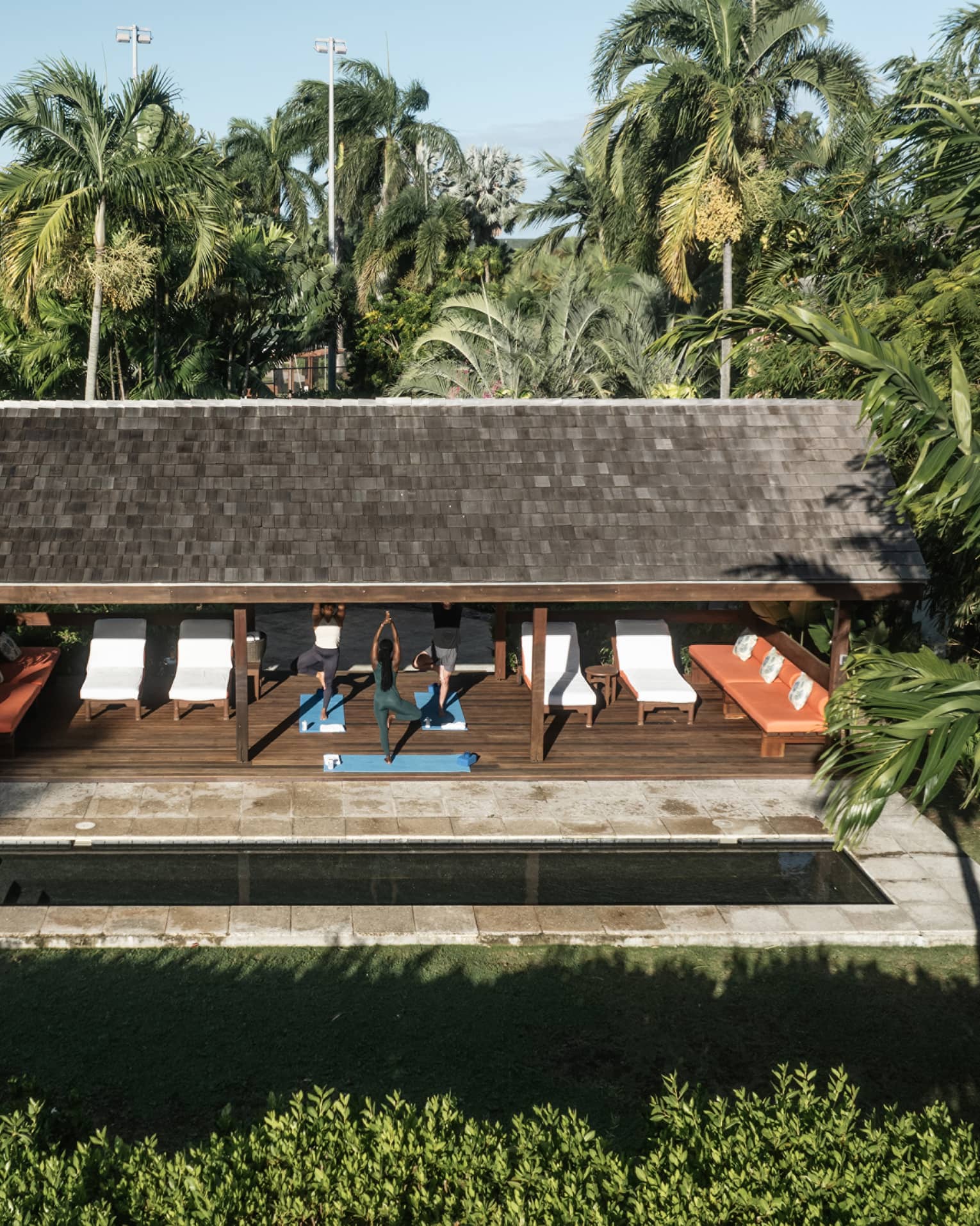 People doing yoga outside surrounded by palm trees