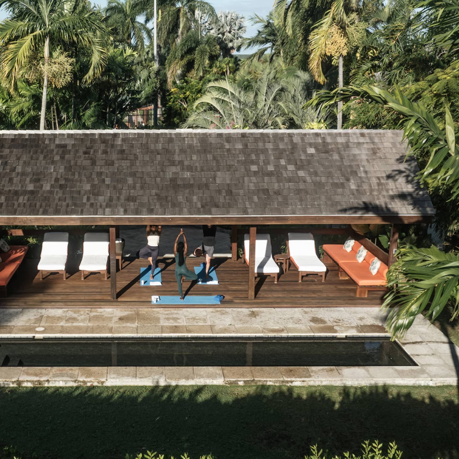 People doing yoga outside surrounded by palm trees
