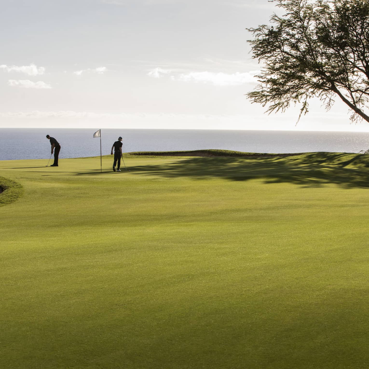 Long view of two golfers on a green flanked by a bunker and tree, silhouetted against a shimmering ocean backdrop.