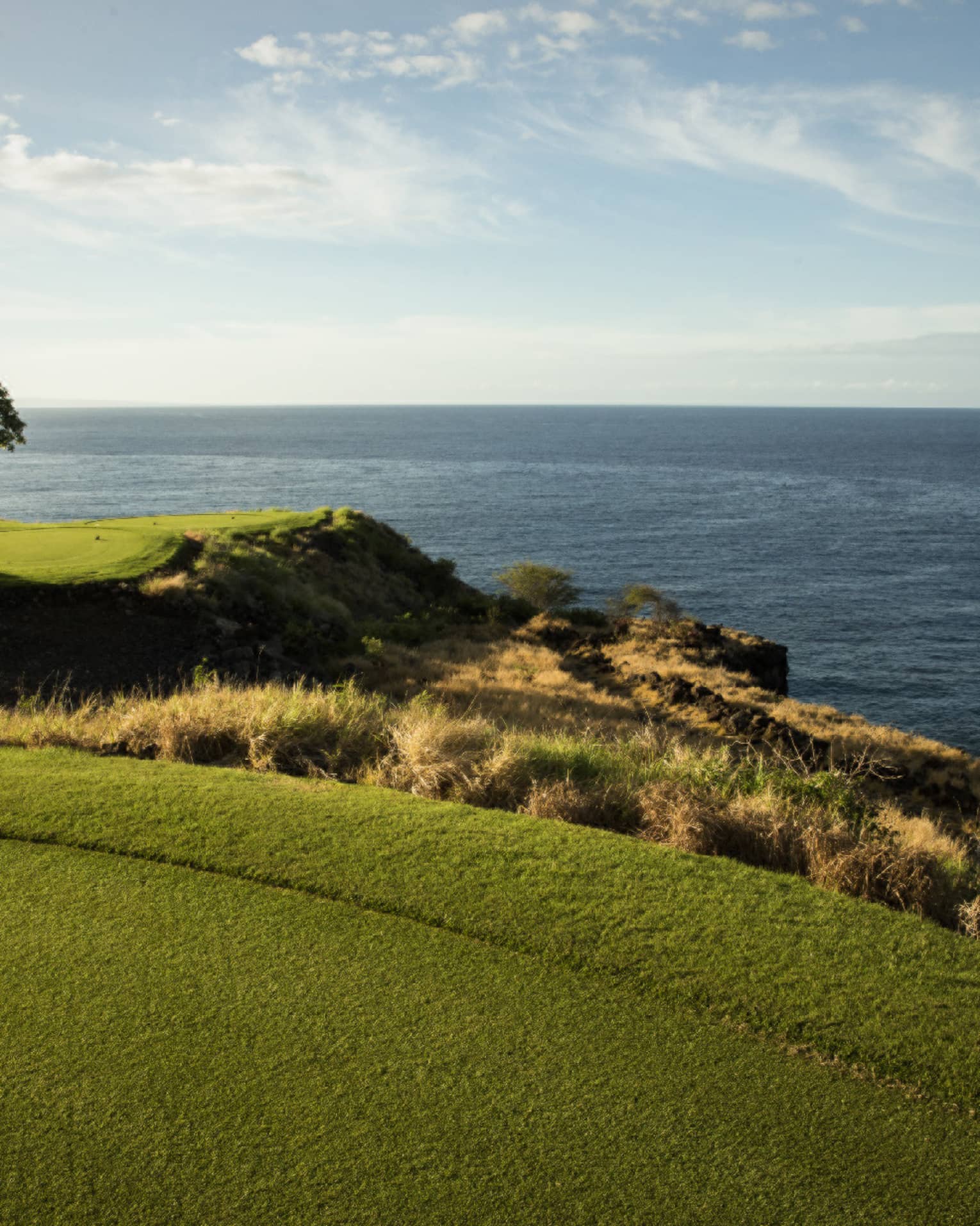 View from a manicured golf course set atop a coastline with grassy outcroppings and rocks below, ocean and clear sky beyond.