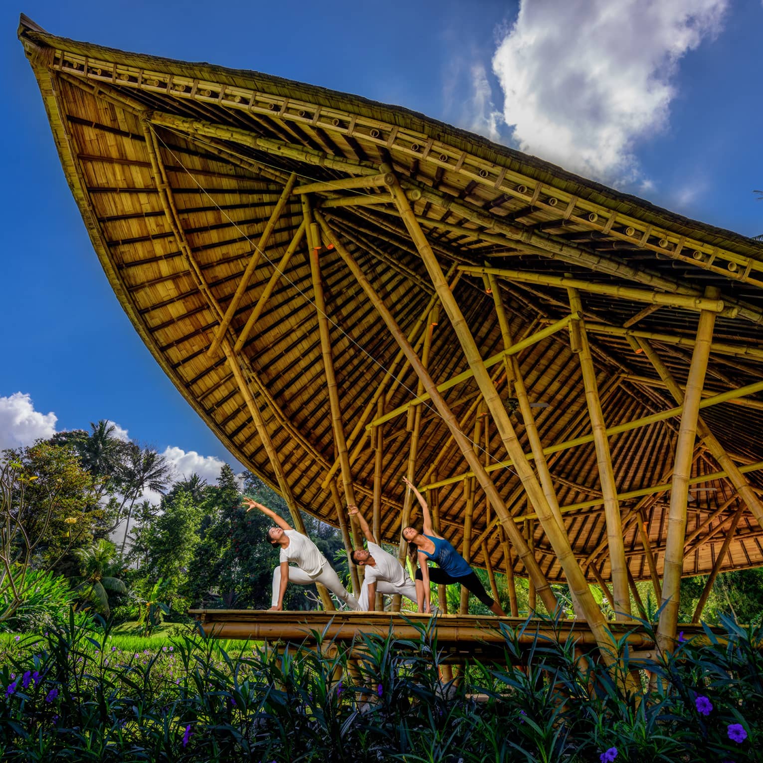 Three people hold yoga poses inside a large bamboo pavilion situated amongst tropical plants and lush grass.