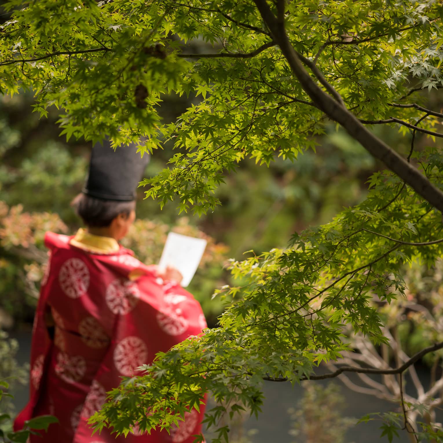 Back of man in silk robe, hat reading paper through trees