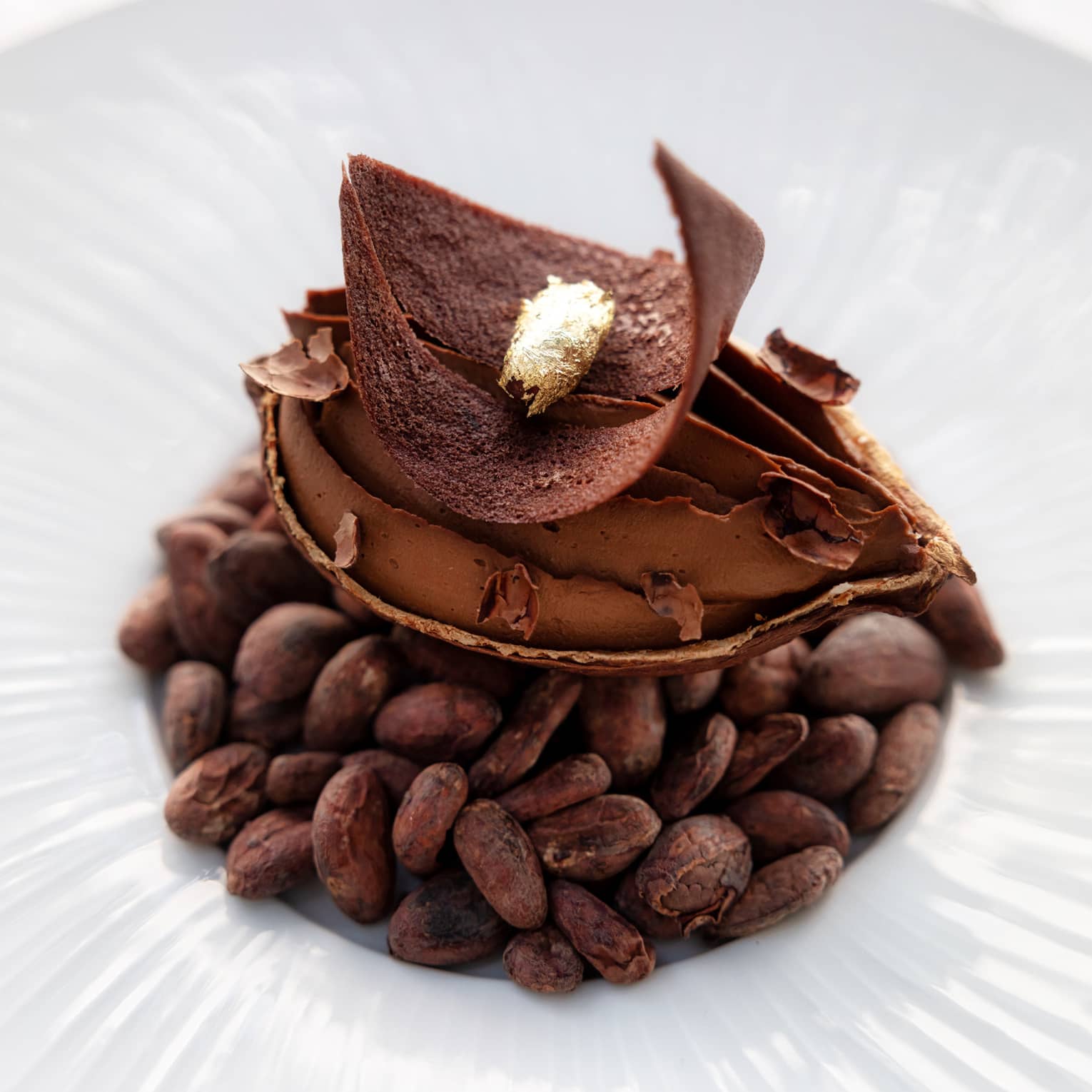 Chocolate dessert