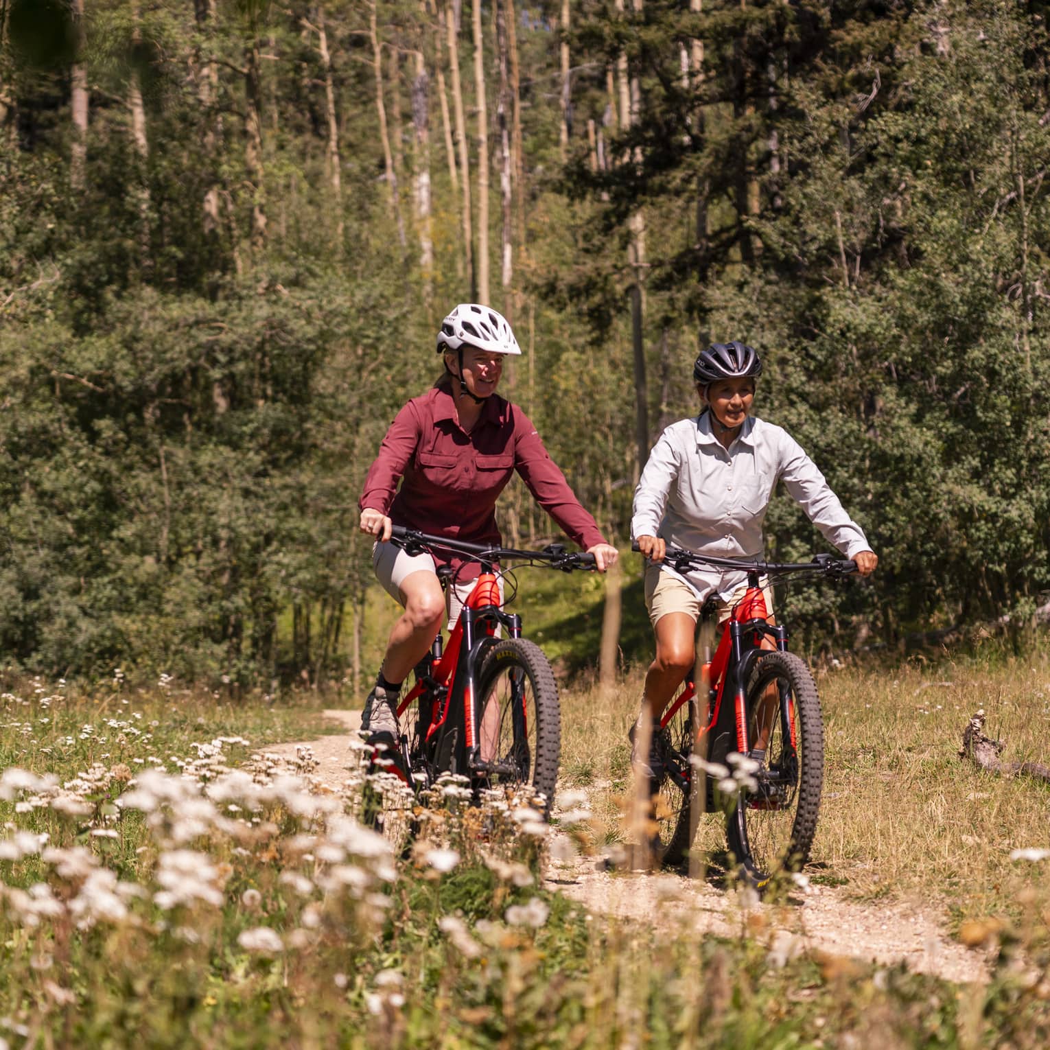 Two people on bikes riding along a trail nears a forest.