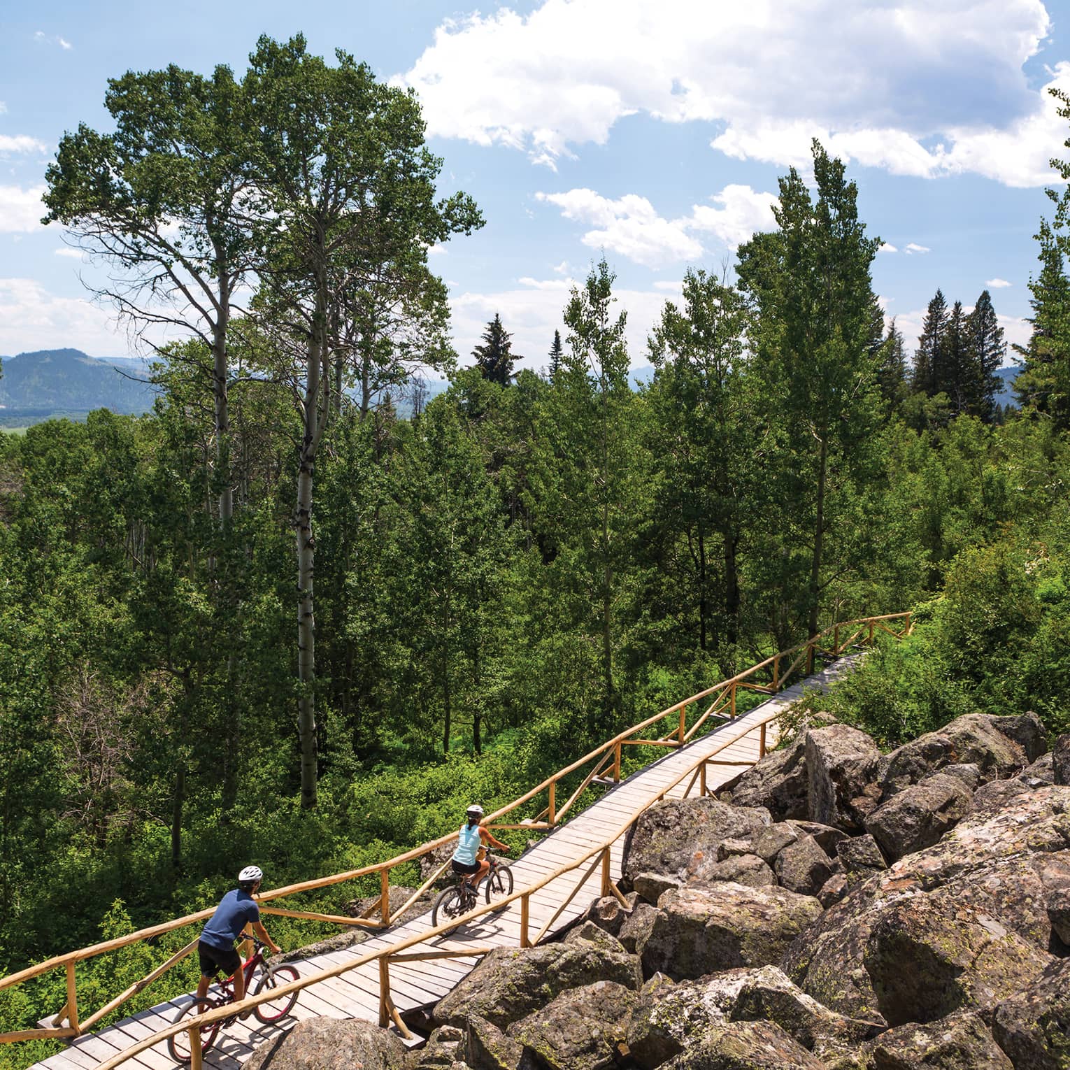 Aerial view of two cyclists on a forested bike path with mountains in the background