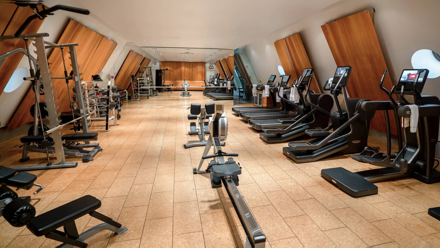 Fitness centre with rowing machine in middle, treadmills on right and weight equipment on left