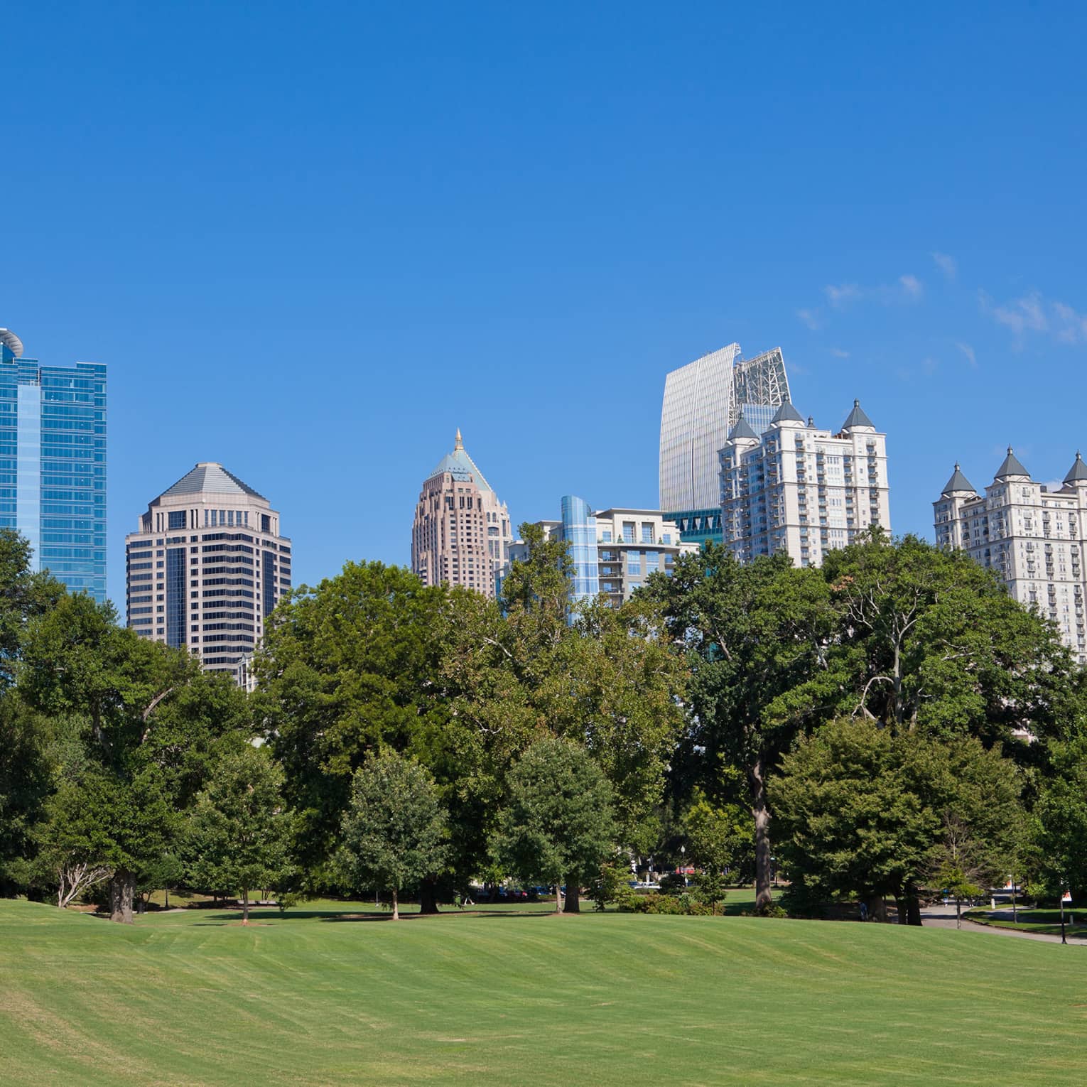 A park with large skyscrapers in the distance.