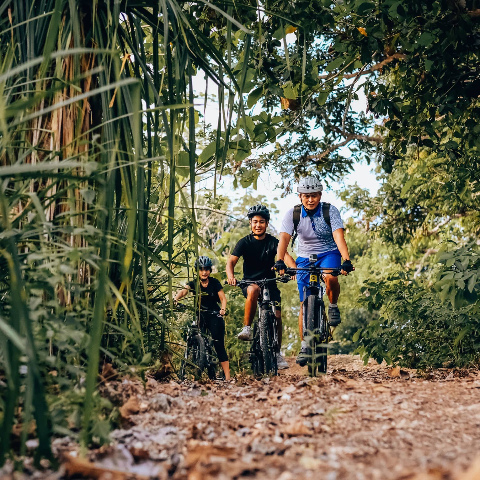 Three friends bike through the bamboo forest