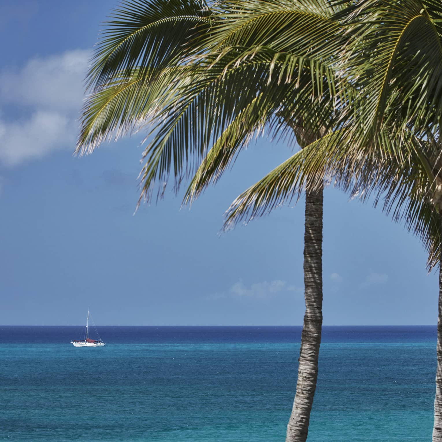 Two palm trees in the foreground, distant fishing boat in the calm turquoise sea beyond, below a clear blue sky. 