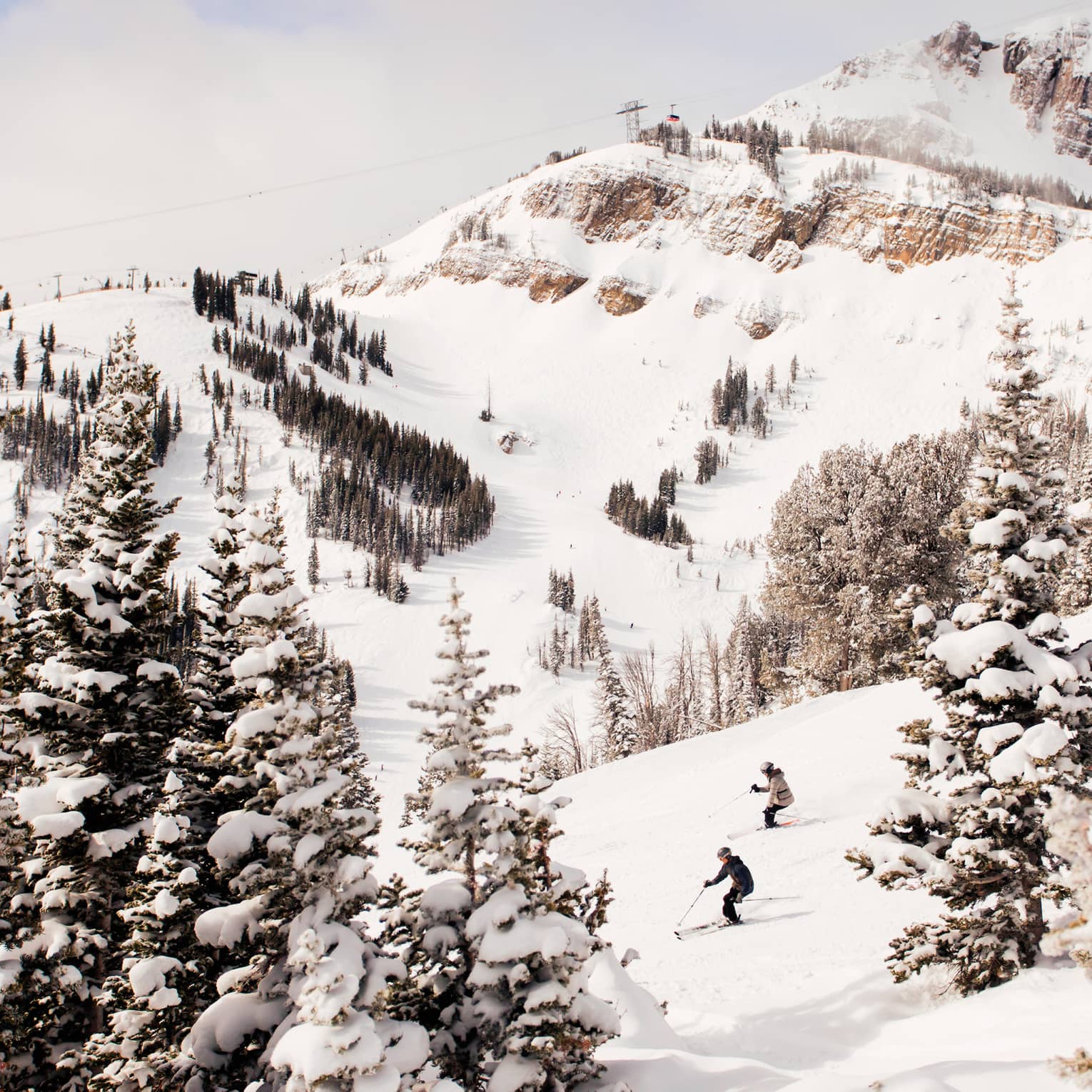 Aerial view of two skiers high up on mountain slope between trees 