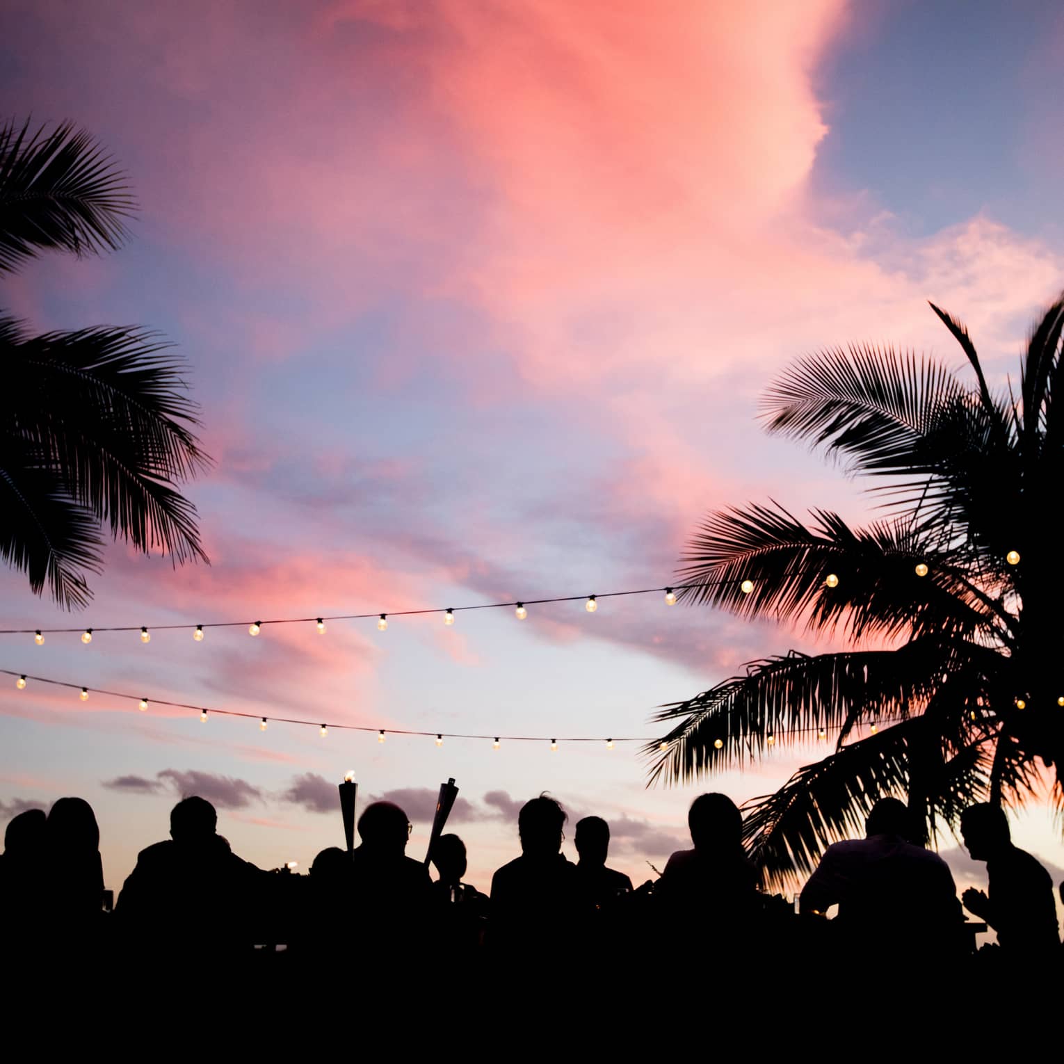 Diners in silhouette at a long table between two palm trees strung with patio lights against a vast crimson and blue sunset.