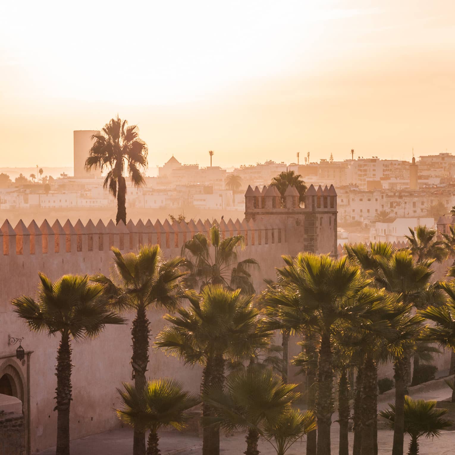 A stone city landscape in the hazy, warm glow of late-day sun, palm trees against a stone battlement in the foreground.