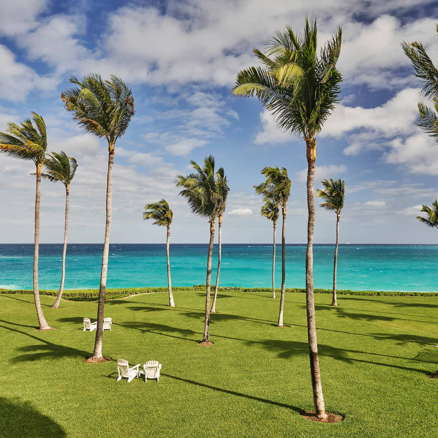 White deck chairs under tall, slim palm trees blowing in breeze on green lawns by Atlantic Ocean