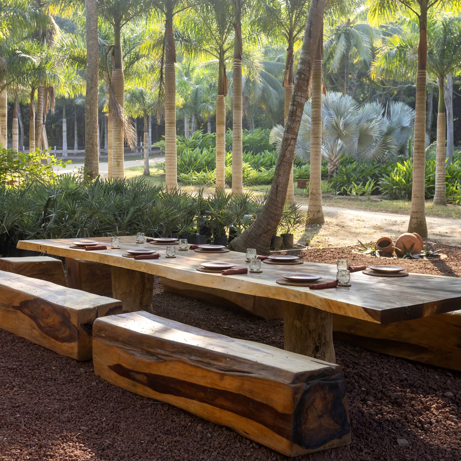 Wood dining table and benches in a lush forest setting