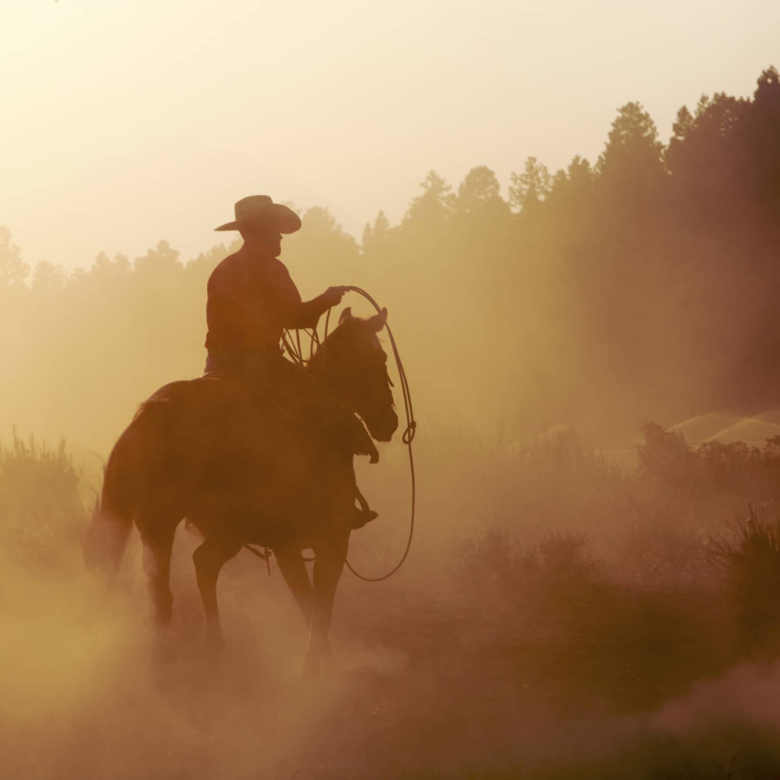 Silhouette of cowboy with rope on horse in misty mountain forest