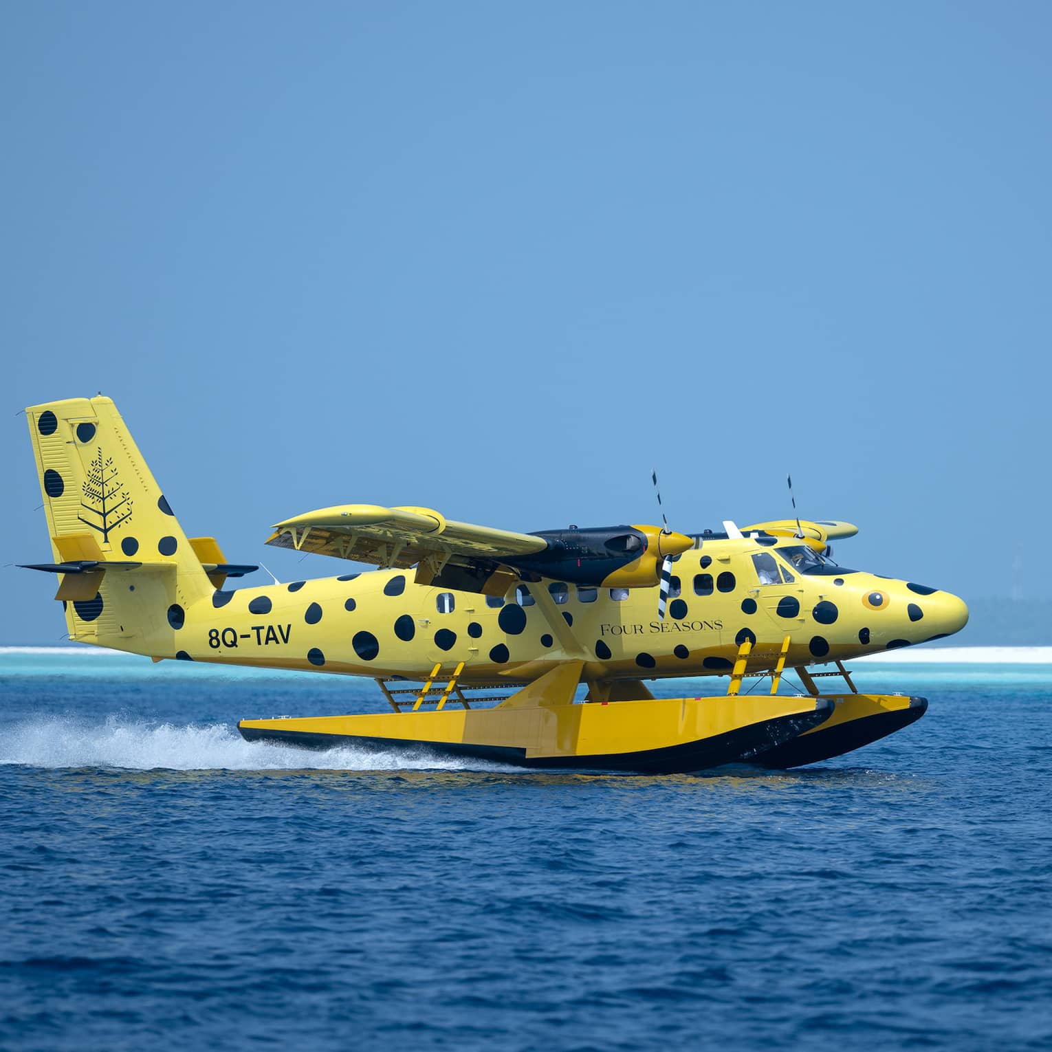 Yellow and black-spotted single-engine plane lands on the water in the Maldives