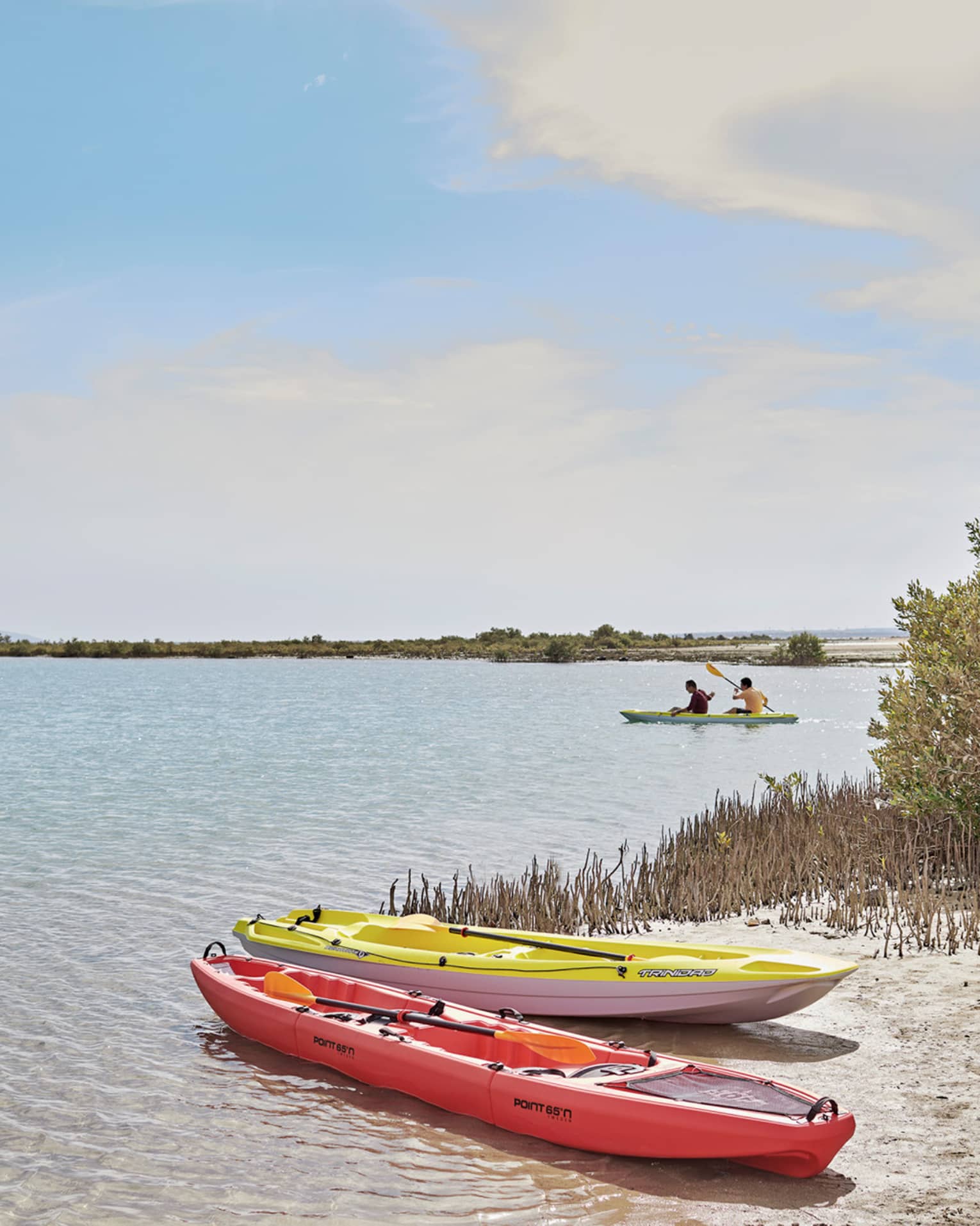 Two beached kayaks – one red, one yellow – amid grass and shrubs; two people paddling in a tandem kayak in the distance.