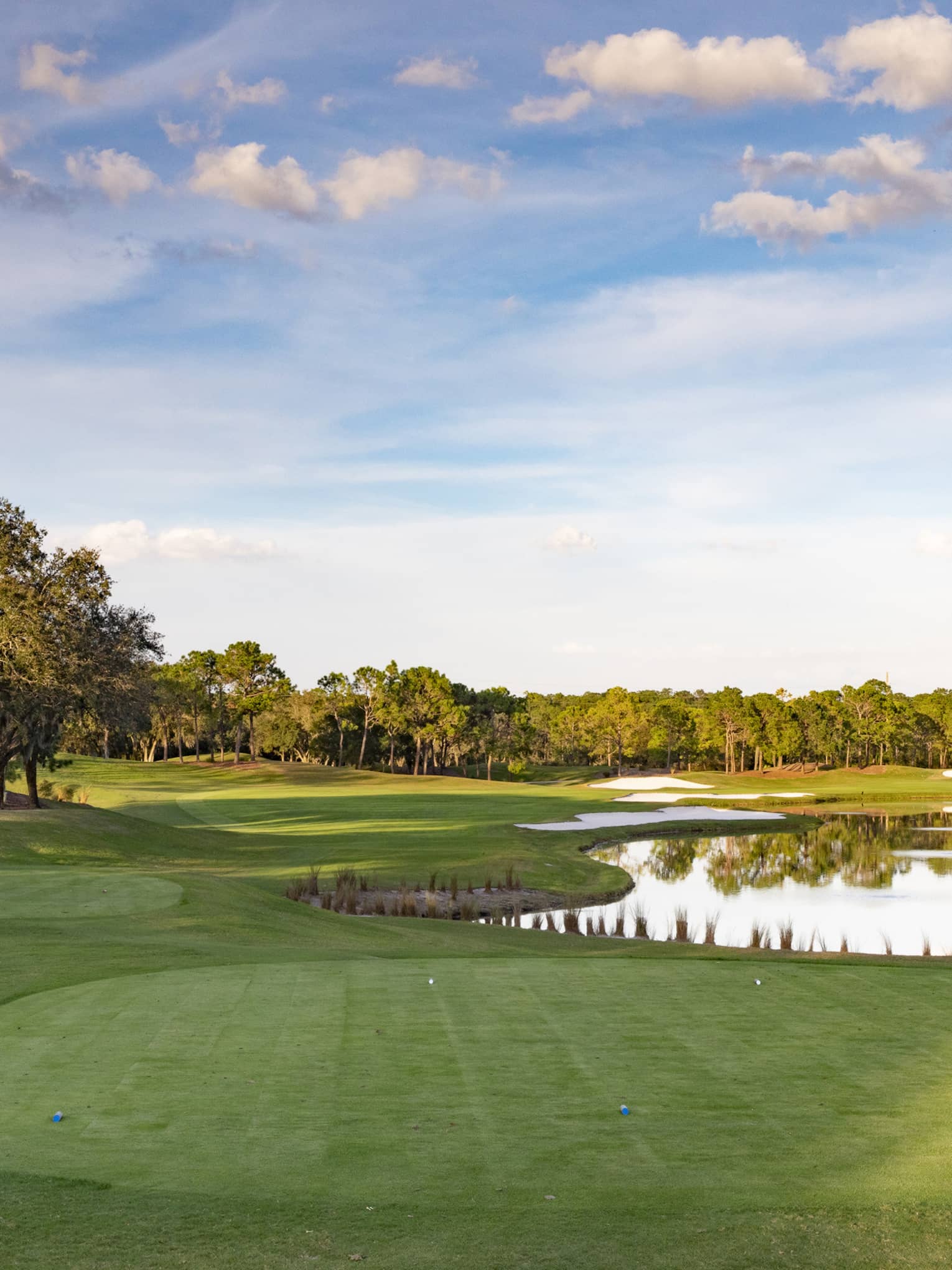 A green golf course with a small lake, surrounded by trees