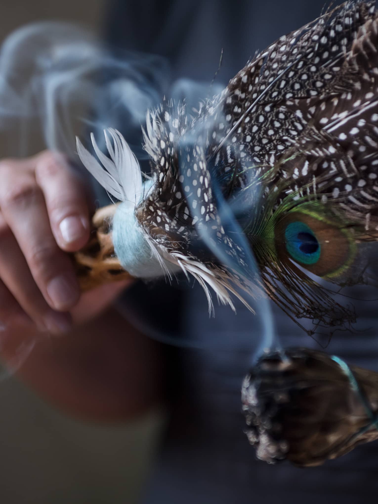 Close-up of smoke rising from sage, feathers used for smudging ceremony