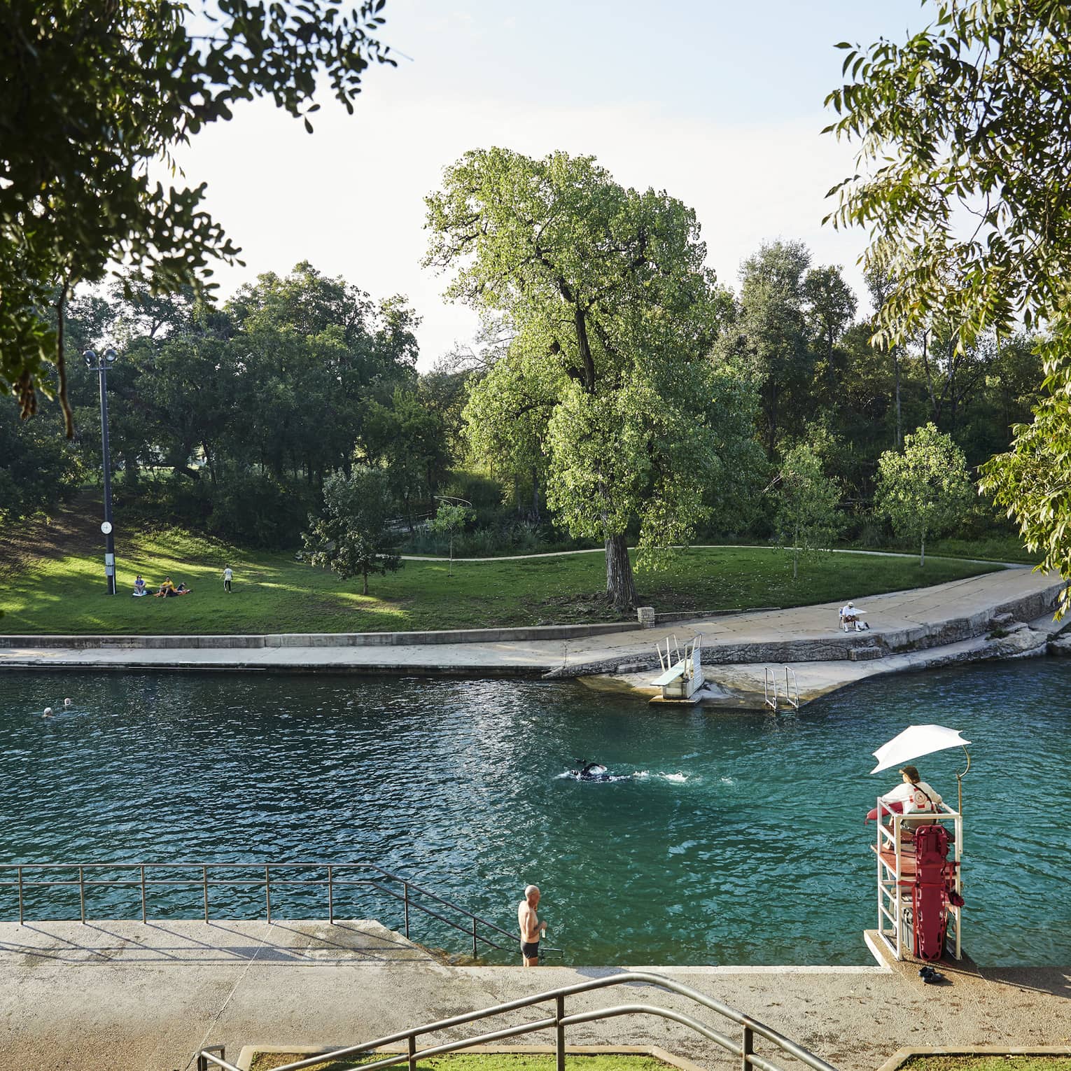 A watering hole surrounded by grass and trees, a person is swimming from one side to the other.