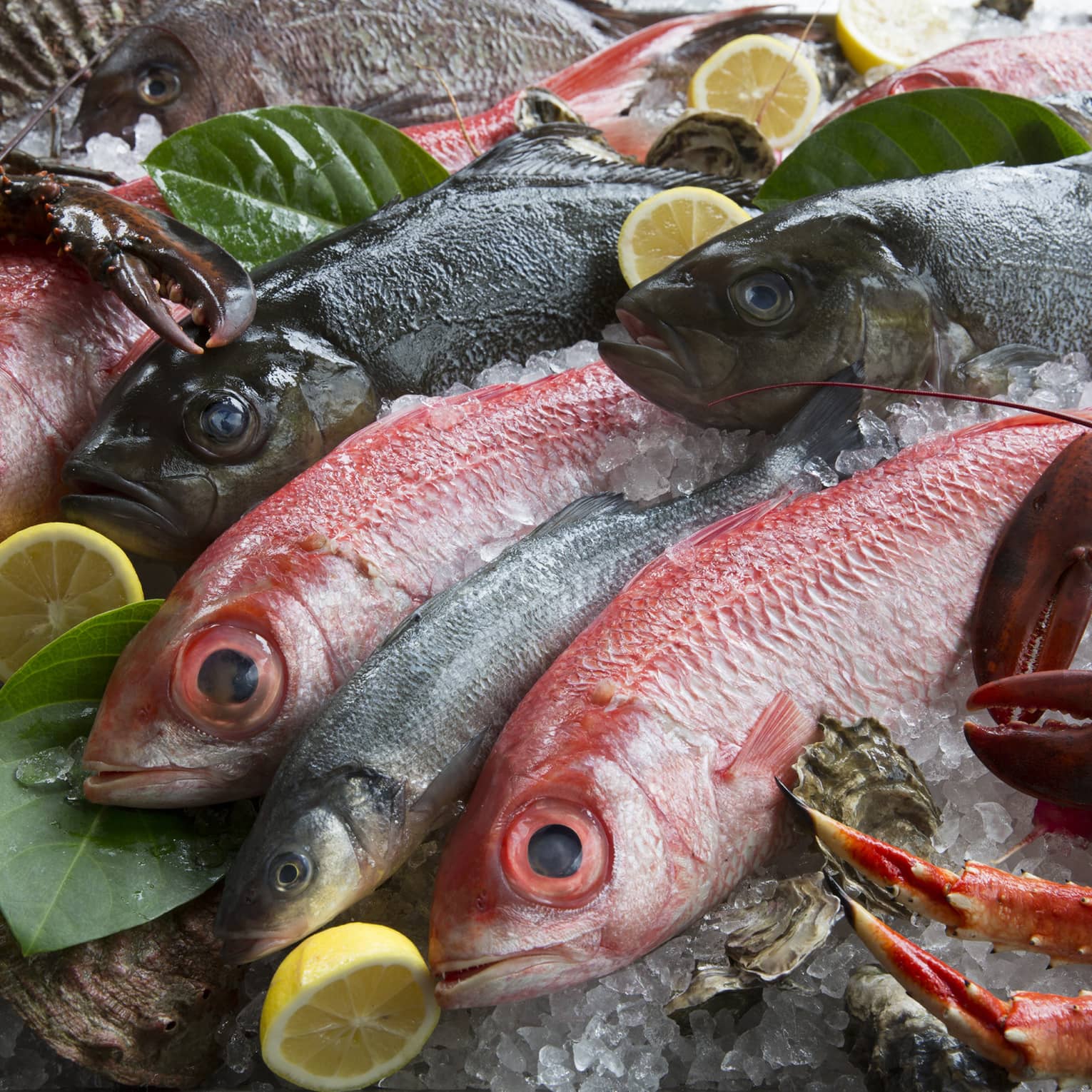 An array of fresh seafood on ice, including red snapper, Dungeness crab and lobster