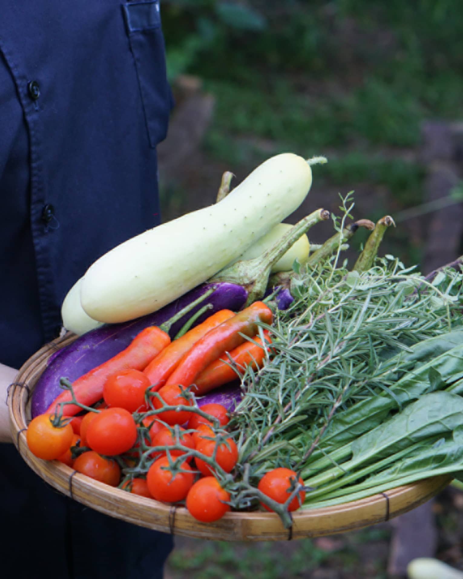 A person holding a bowl of fresh vegetables