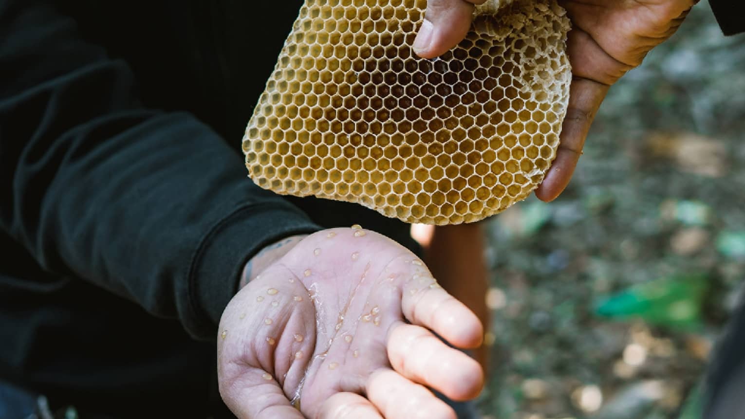 Close-up of two different hands; one holds a small piece of honeycomb and drips honey onto another's palm. 