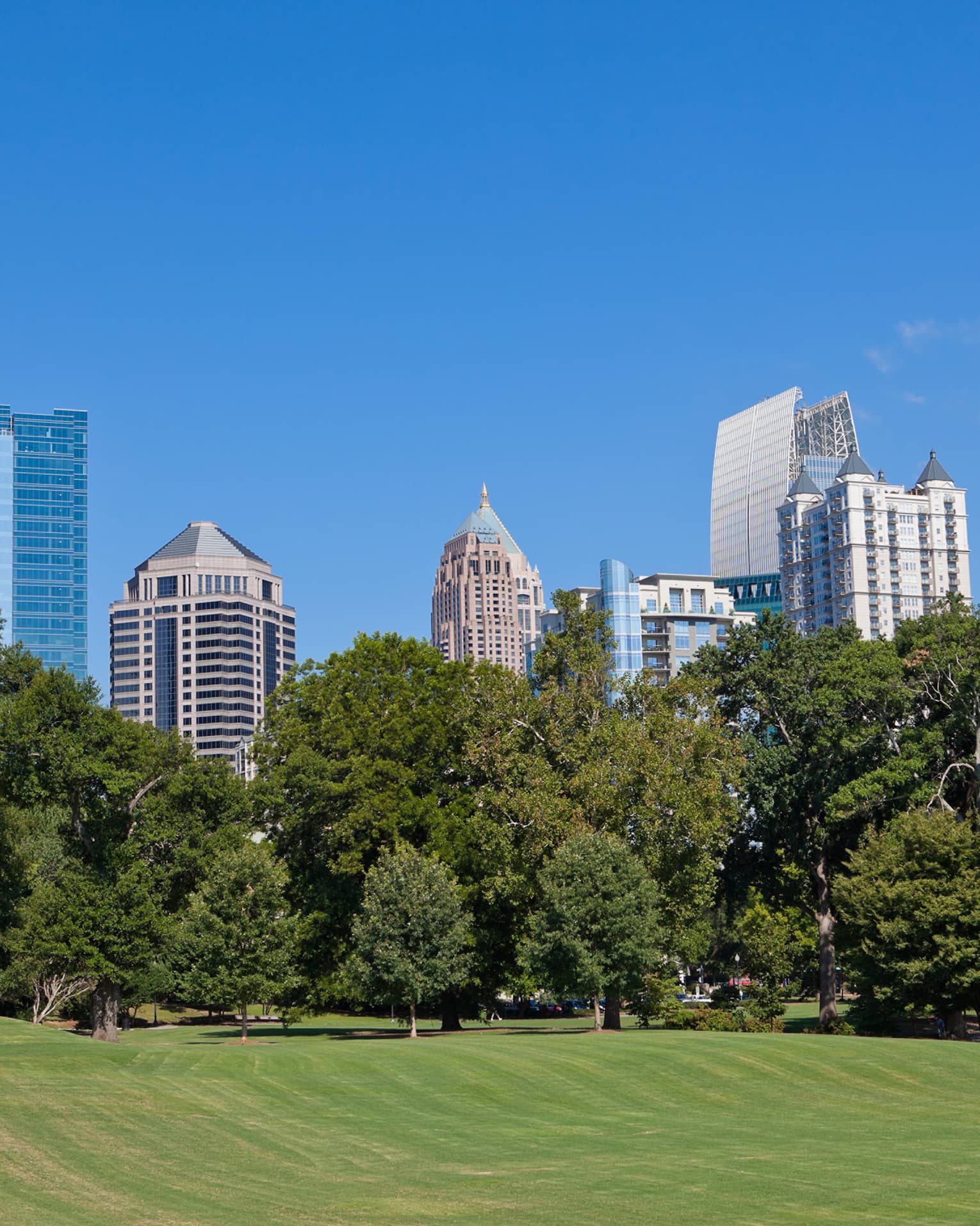 A park with large skyscrapers in the distance.