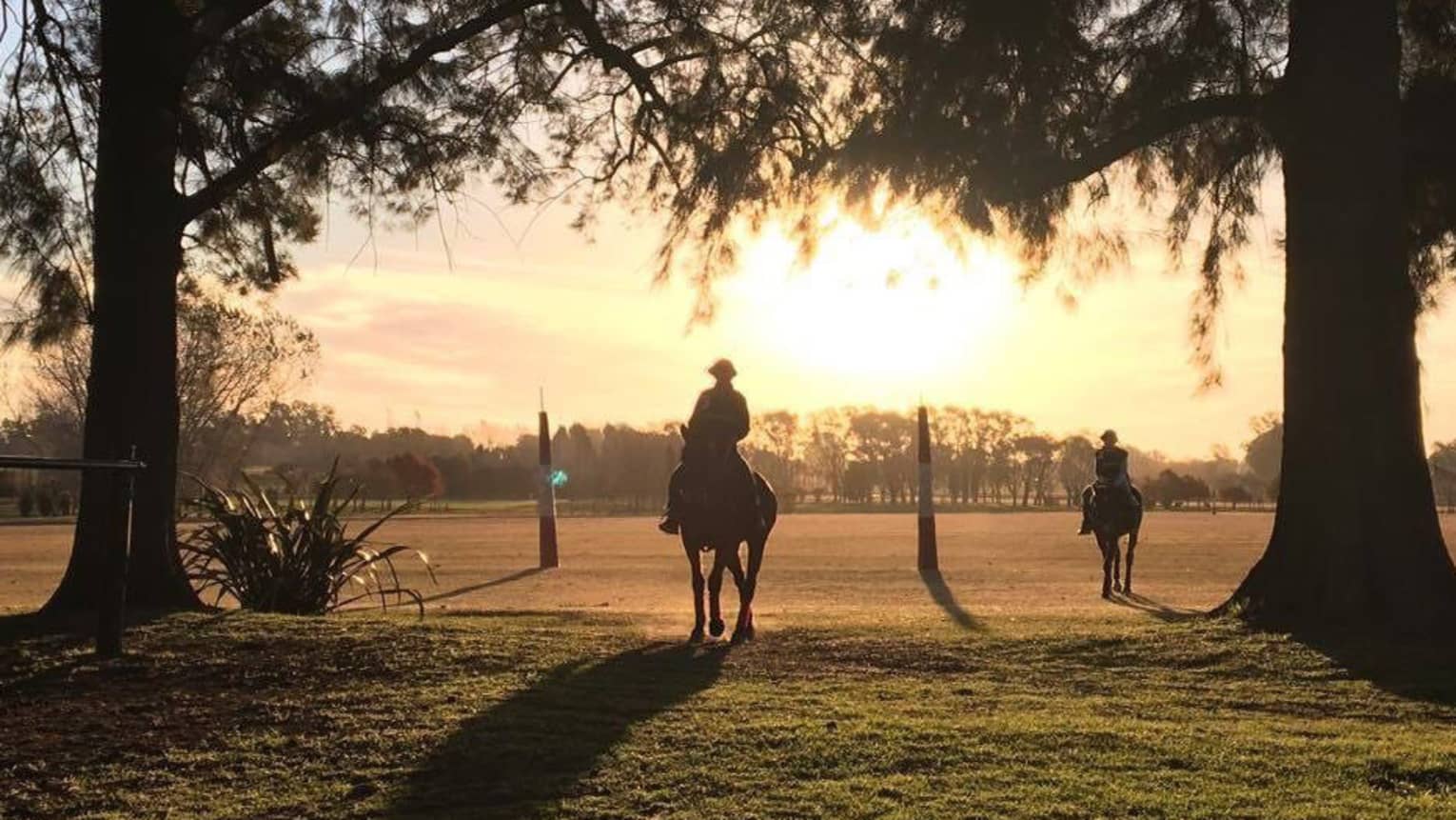 Two polo players ride their horses through a groove of trees as the sun sets behind them. 