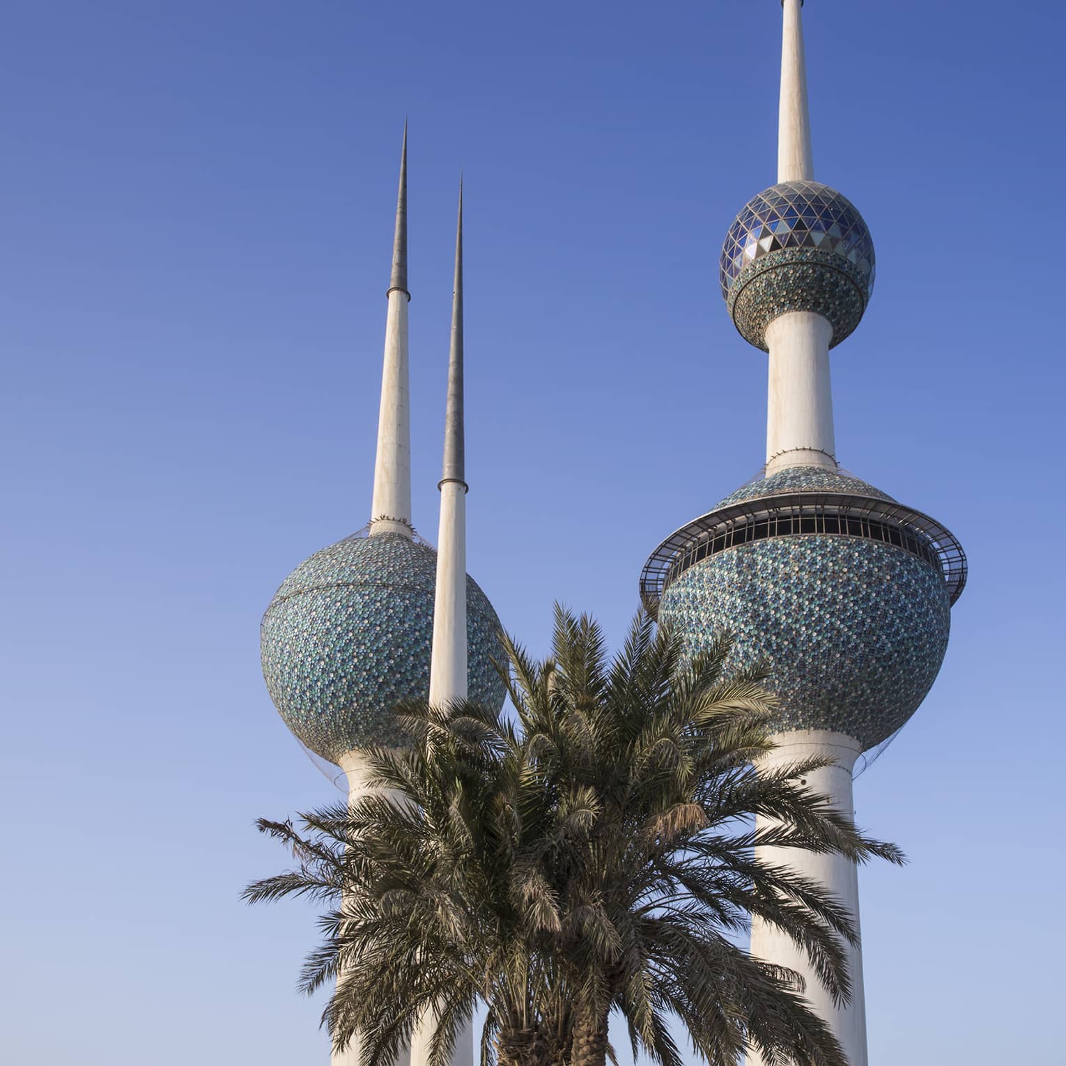 View of Kuwait Towers with palm tree in foreground and blue sky 