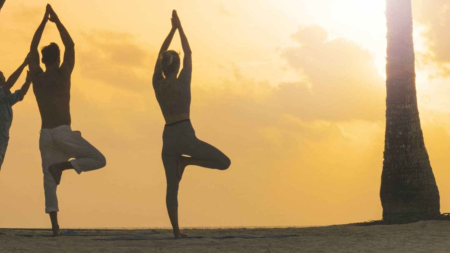 The morning sun silhouetting a couple doing yoga poses with an instructor on a beach surrounded by palm trees and greenery.