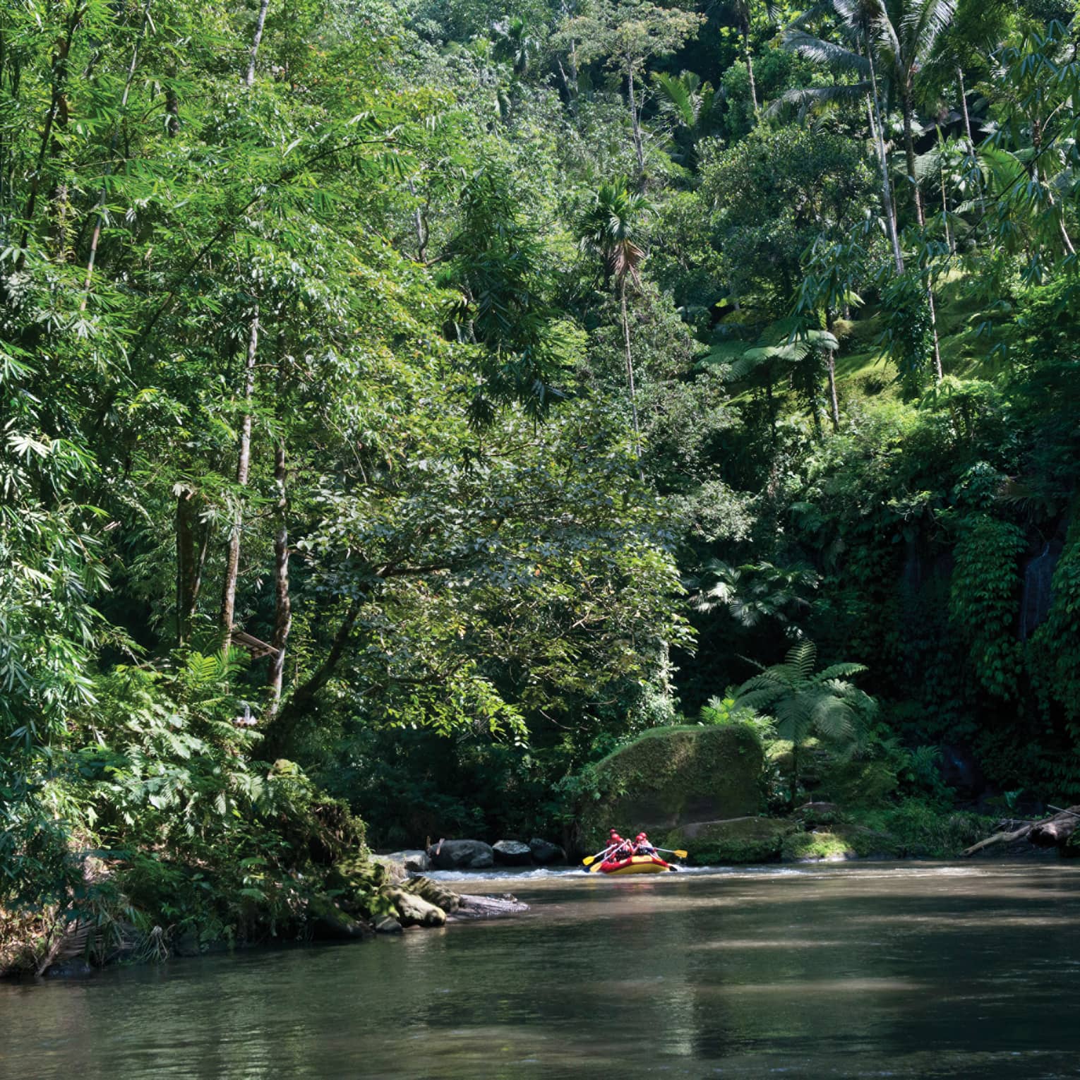 People water rafting along Ayung River beneath trees