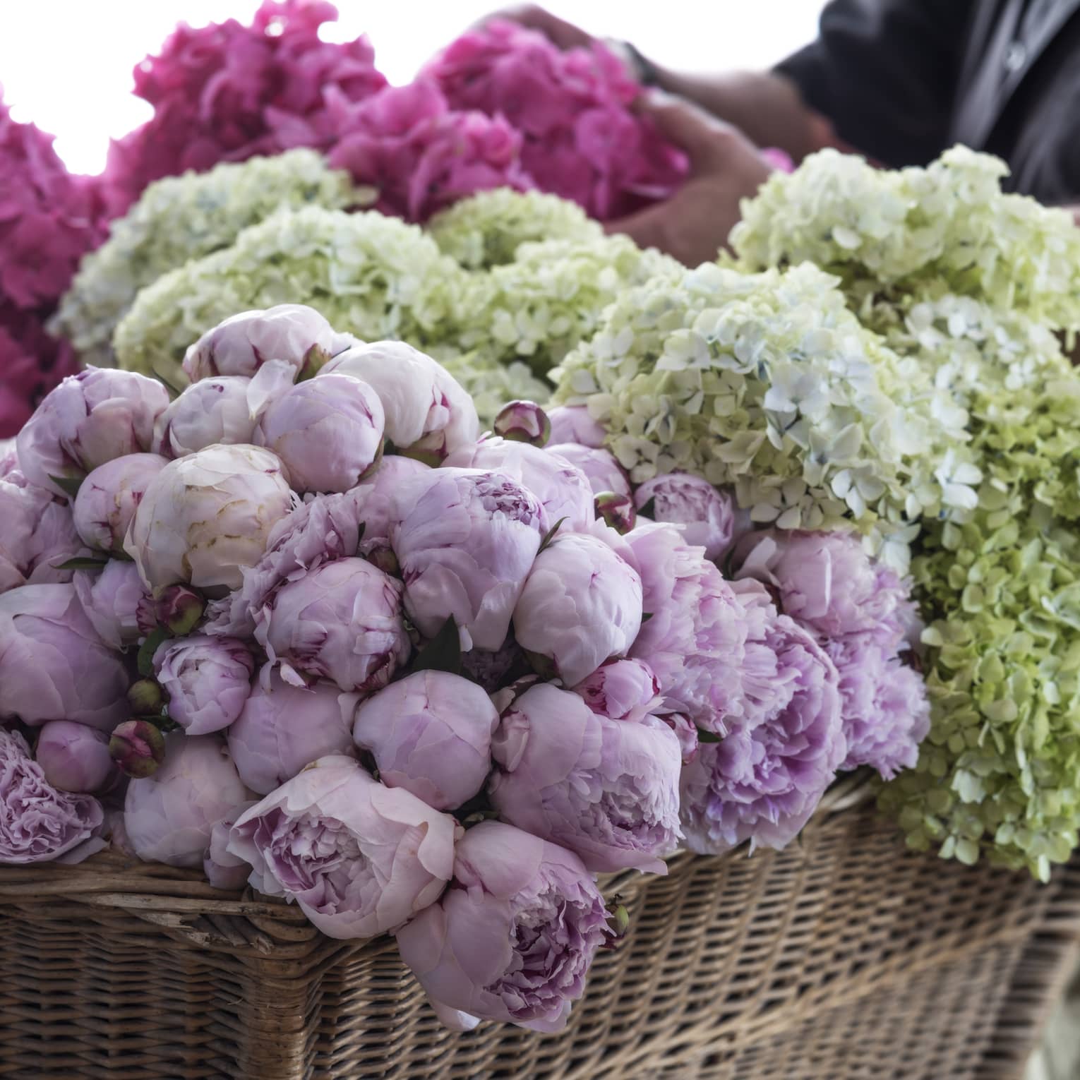 An assortment of light purple, pink and green flowers.