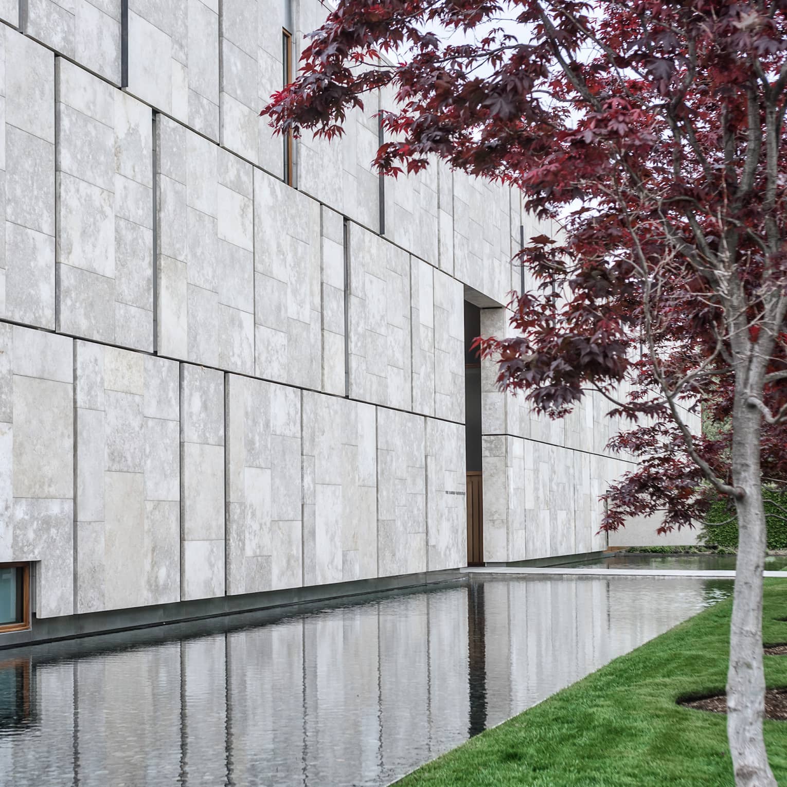 A tree with purple leaves next to a a stone wall.