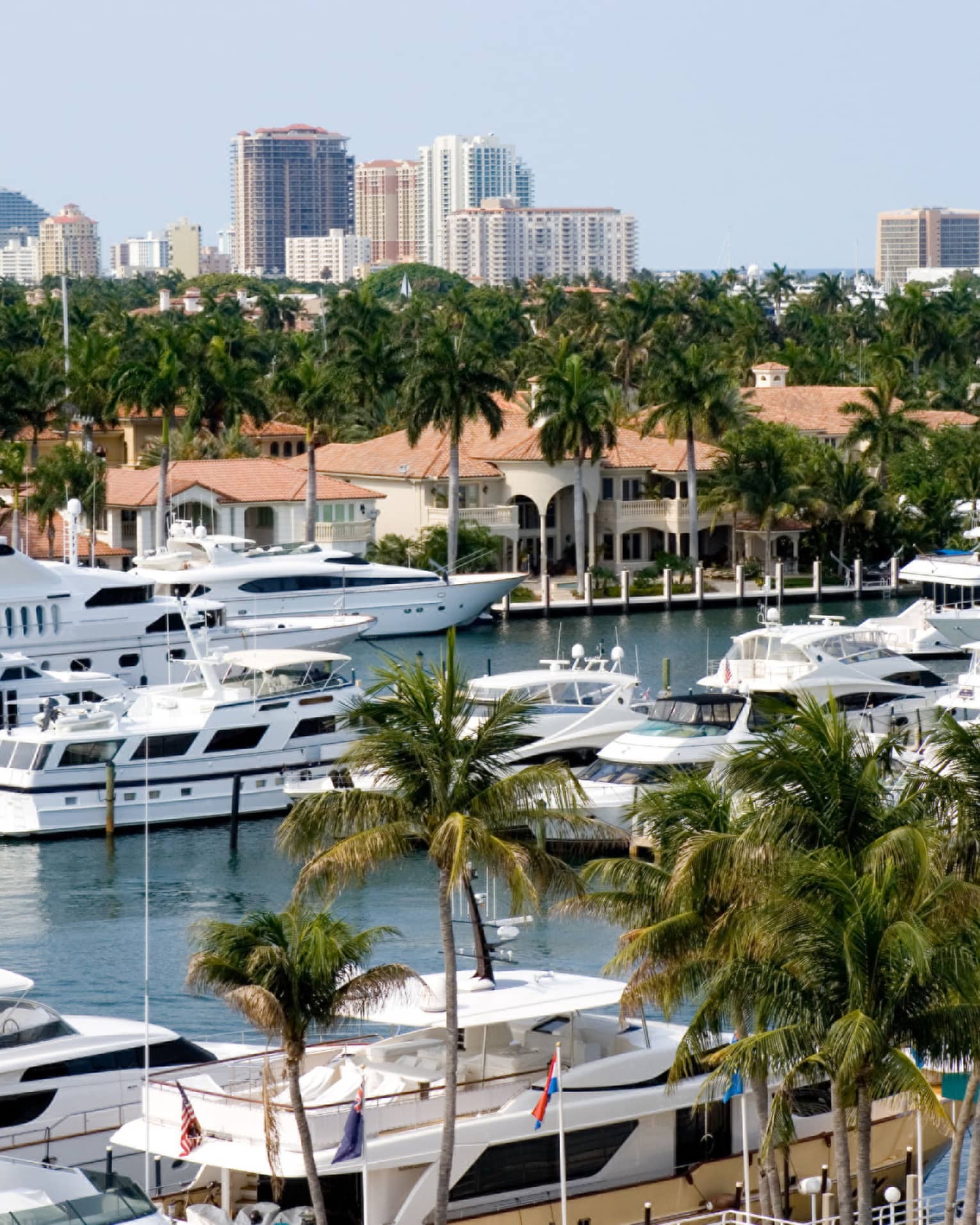 Many boats in the water with palm trees on the land and city buildings in the background.