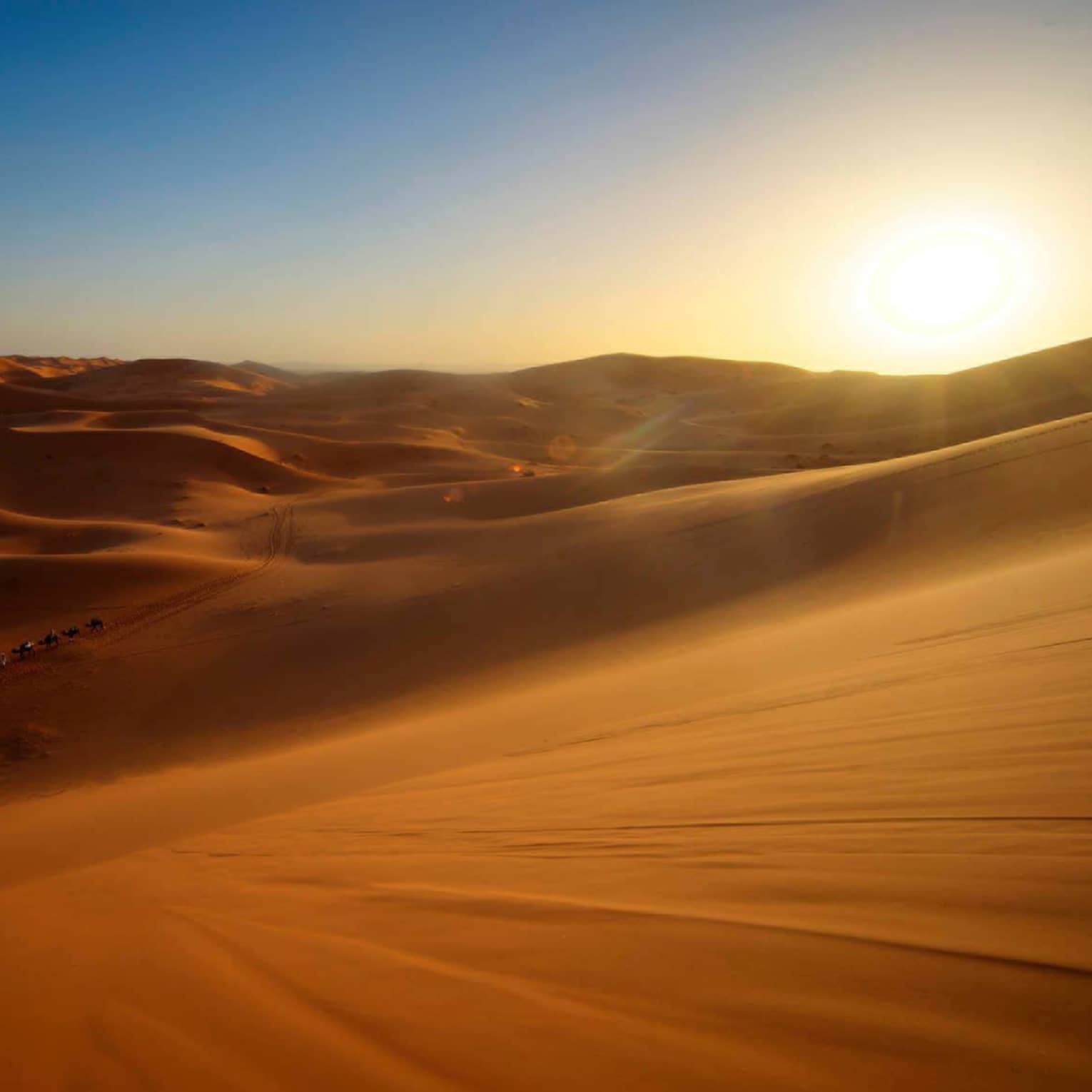 In the far-off distance, a camel caravan crosses a vast expanse of undulating sand dunes under a low-hanging sun. 