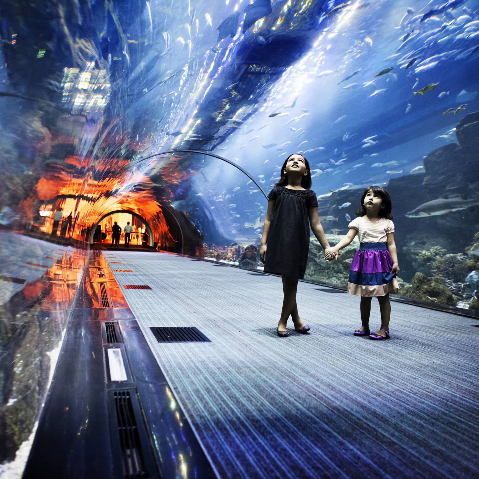 Two children hold hands in an underwater glass tunnel as they gaze at the schools of fish surrounding them in a sea of blue.