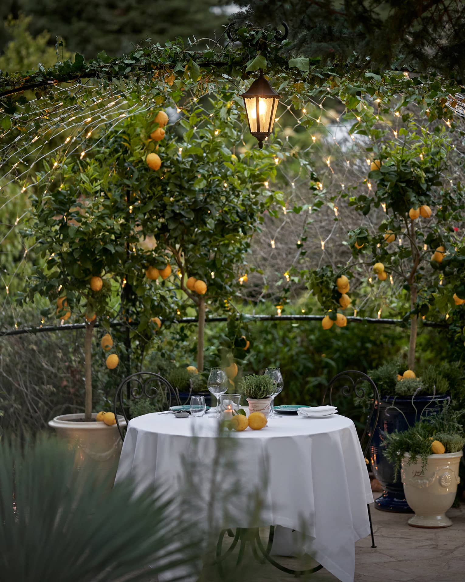 Looking into a secret garden with a table covered in a white cloth placed in the middle of it, orange flowers and green leaves are all around.