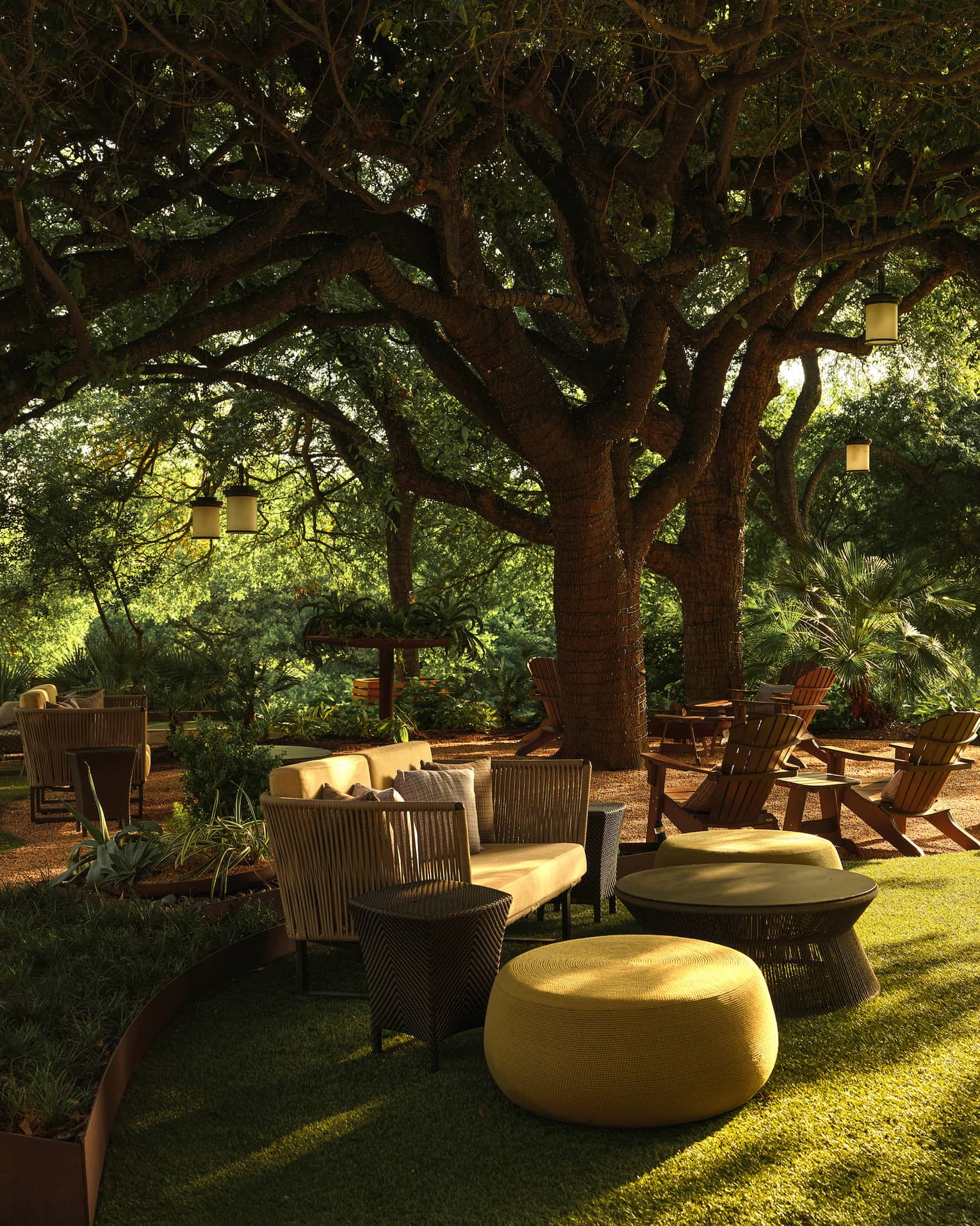 An outdoor sitting area below trees with couches and lawn chairs