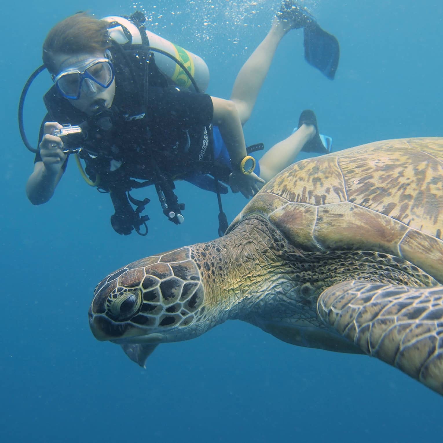 Scuba diver with underwater camera takes photo of large turtle