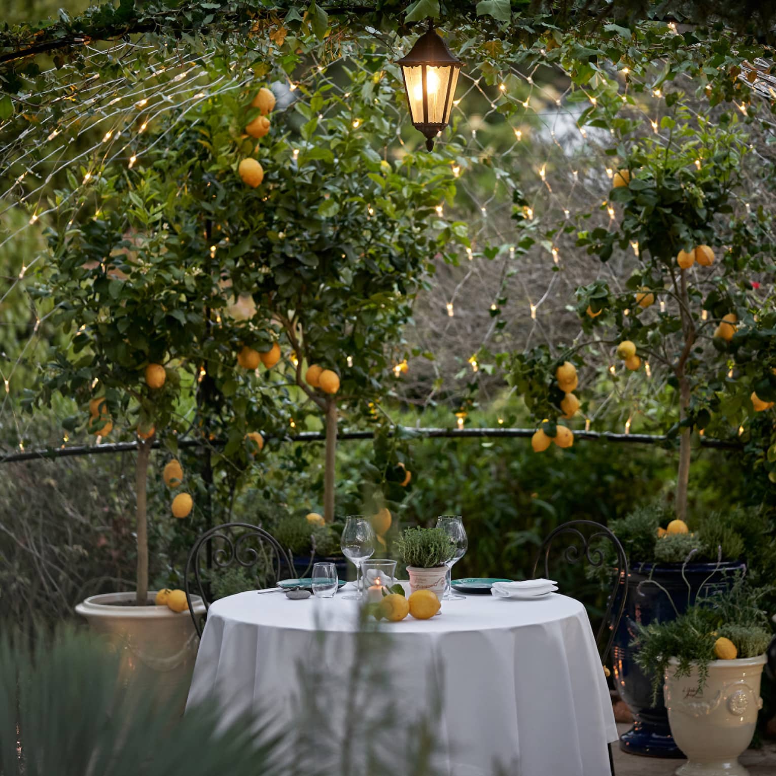 Looking into a secret garden with a table covered in a white cloth placed in the middle of it, orange flowers and green leaves are all around.
