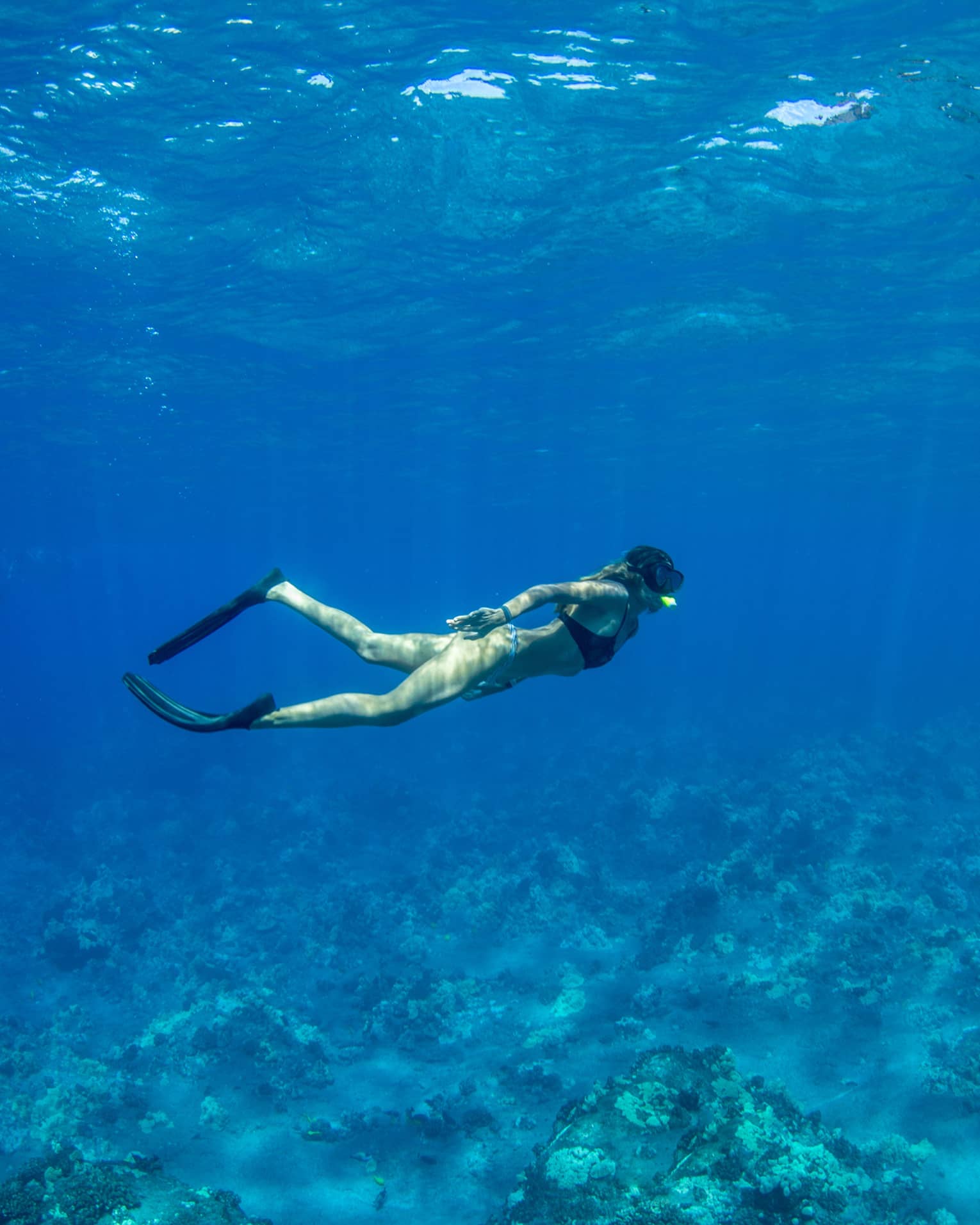 A snorkeller in black flippers and mask explores a rocky coral reef below, as rays of sunlight filter from above the blue water.